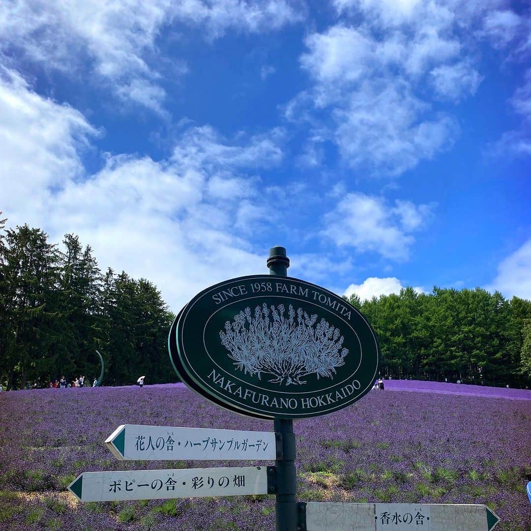 クォン・スンイルさんのインスタグラム写真 - (クォン・スンイルInstagram)「#Lavender 🪻#Hokkaido 🪻 #Furano  #가족여행 하늘엔 가끔씩 아빠손가락이…」7月22日 16時08分 - urbankwon