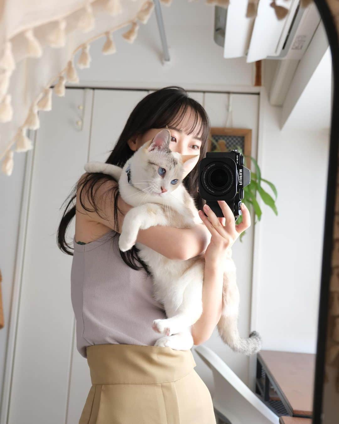 のインスタグラム：「Joyeux troisième anniversaire, Nagi🩵  凪さんは3歳になりました。 そして私は…。笑  この一年は、凪さんのアレルギーが殆ど出なくなって、通院も少なくとっても良い一年を過ごせました🐈✨  凪。生まれてきてくれて、私の元に来てくれてありがとう。 あなたのために生きられることが、何より幸せです。 これからも溺愛するから覚悟しててね🧚‍♀️  #凪便り」