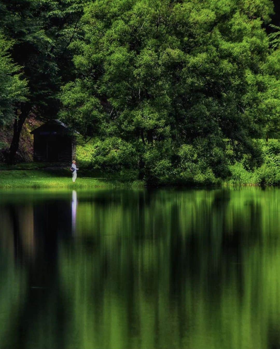 ?長野県 観光 公式インスタグラム さんのインスタグラム写真 - (?長野県 観光 公式インスタグラム Instagram)「// Photo by @takigawa_kris_s  四季折々の景観が広がる 「木崎湖」 ＠大町市  大町市北部にある3つの湖の総称“仁科三湖”の一つで 一番南に位置する「木崎湖」  水の透明度が高く 水面に四季折々の景観が映し出される様子は神秘的💕✨  静かに湖を眺めるのはもちろん SUPやカヌー、サイクリング、キャンプなど さまざまなアクティビティも楽しめますよ🚣‍♀️🚴🎣🏕  ＝＝＝＝＝＝＝＝＝  Lake Kizaki (Omachi City)  Lake Kizaki is the southernmost of the Three Lakes of Nishina (Nishina Sanko).  Its water is crystal clear, and natural scenery that changes with the seasons reflects in its surface.  In addition to taking in the scenery, you can enjoy a variety of activities such as standup paddleboarding, canoeing, cycling, camping and more.  ＿＿＿＿＿＿＿＿＿　  Location / Omachi City , Nagano , Japan   #おうちでながの #長野のいいところ #木崎湖 #仁科三湖 #大町市」7月22日 17時02分 - nagano_japan