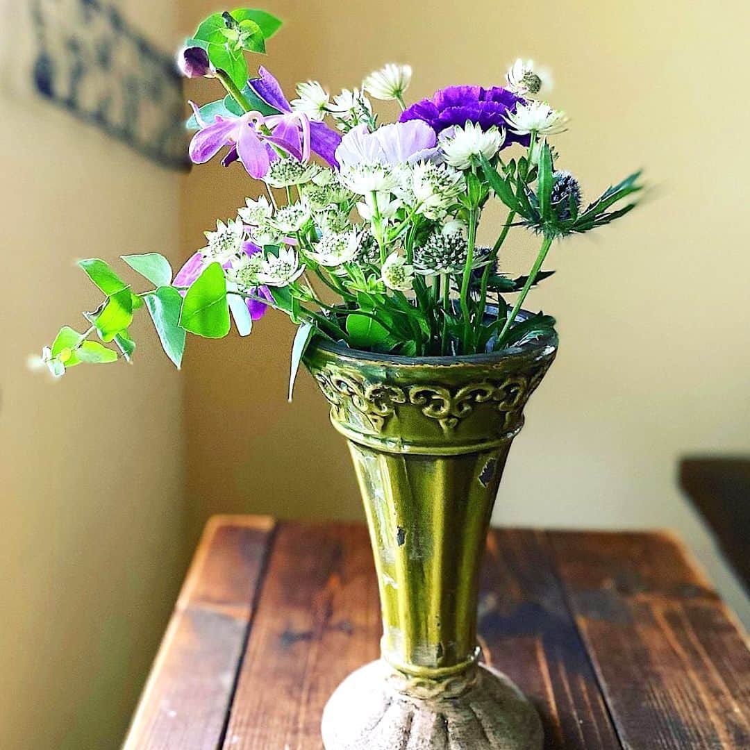 Bloomee LIFEさんのインスタグラム写真 - (Bloomee LIFEInstagram)「アンティークな器に飾って お洒落でシックな仕上がりに🌹✨  お花のある暮らしに ちょっと変化が欲しいかたは、 デザイン性のある花瓶もおすすめ◎  同じお花でも、 違った表情をみせてくれますよ♪  @rekorinrekorin さんのお写真  #bloomee#ブルーミー#お花の定期便#癒し時間#サブスク#花のある生活#花好きな人と繋がりたい#花写真#花が好き#花を飾る#丁寧な暮らし#お花のある暮らし#暮らしを整える#おうち時間#インテリア」7月22日 18時00分 - bloomee