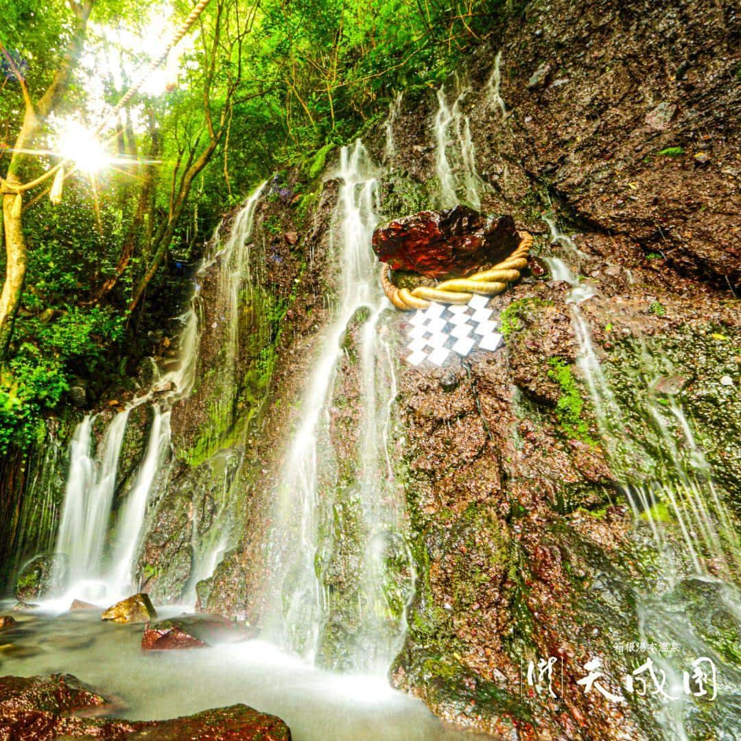 【公式】箱根湯本温泉 天成園のインスタグラム