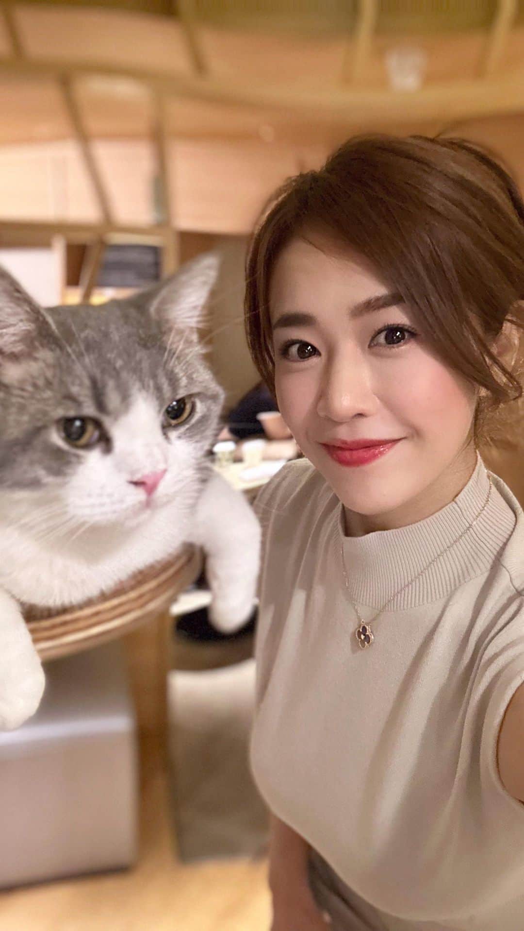 しろまっするのインスタグラム：「・ 猫ちゃんと見つめ合い👀笑 この猫ちゃん私と同じ動きしてるの🤭💗  #wellnessjourney #healthylife #しろまっする」