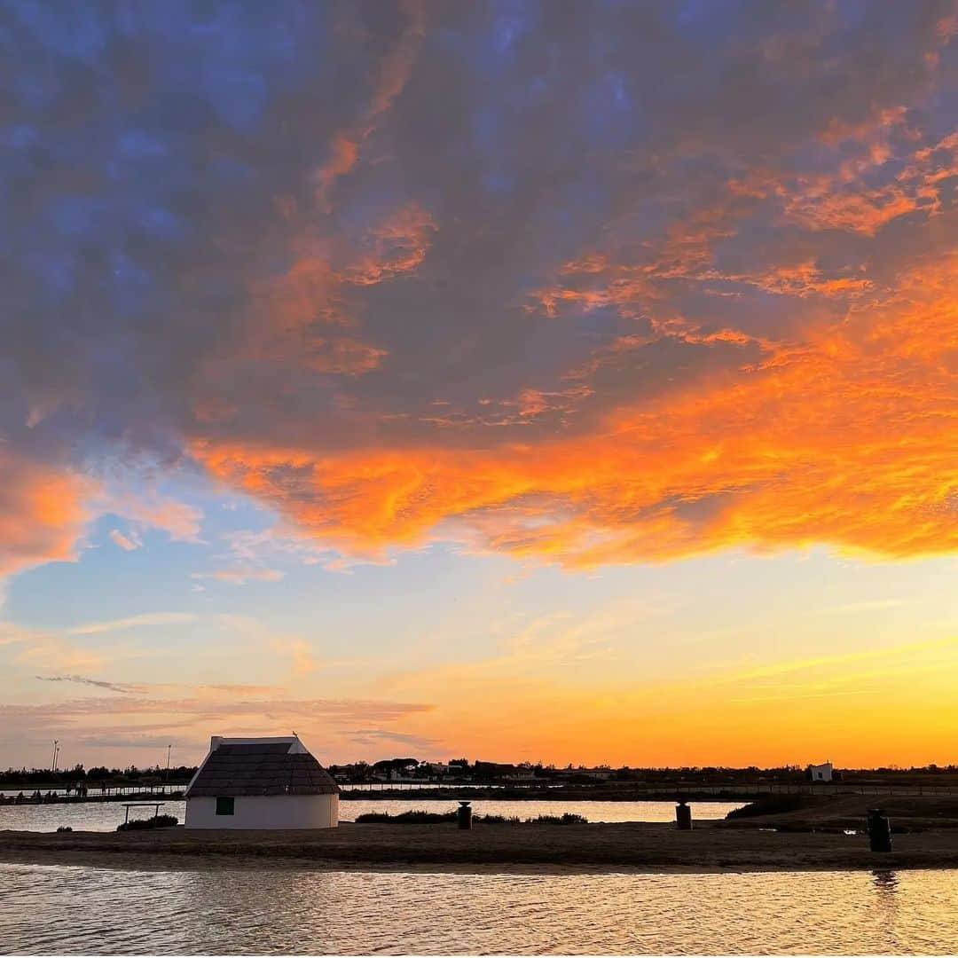 ラボッテガーディアンのインスタグラム：「Bon week end, à ceux de Camargue et d'ailleurs  Nos boutiques sont ouvertes aujourd'hui 🤠  #saintesmariesdelamer #aiguesvives #paris #camargue」