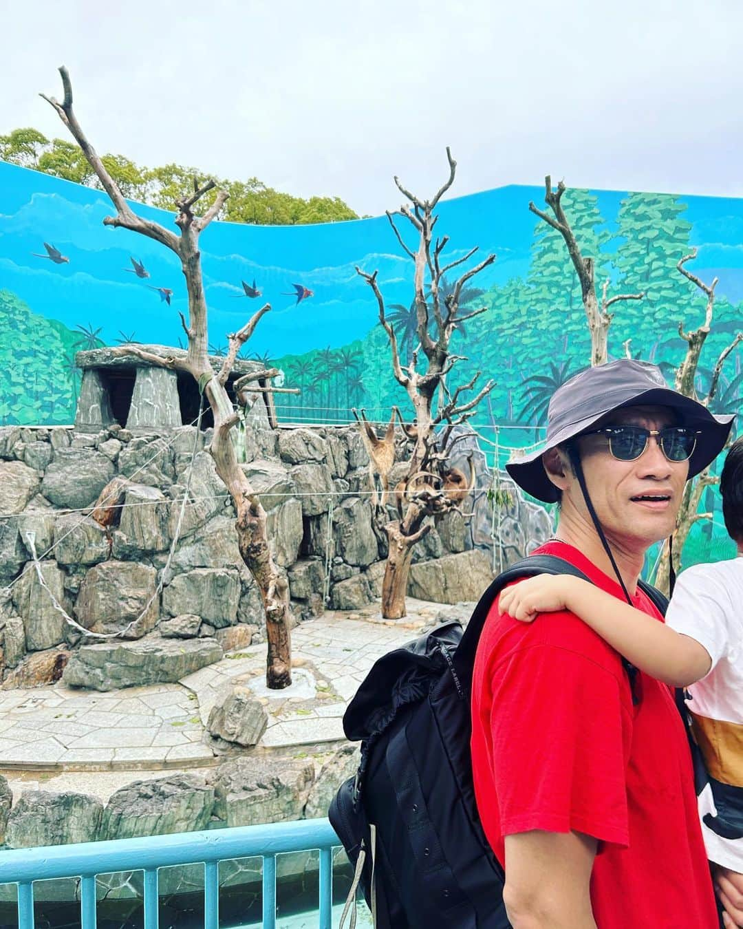 平山祐介のインスタグラム：「🐒も暑いよねー🫠 #動物園 #zoo  #平山祐介 #yusukehirayama」