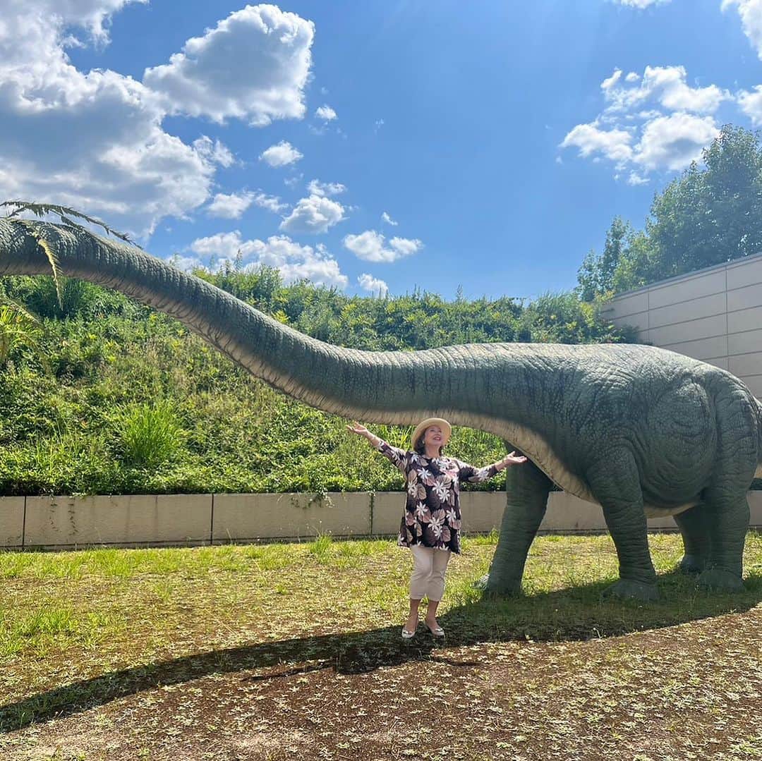 キャシー中島さんのインスタグラム写真 - (キャシー中島Instagram)「* 光ミュージアムの中はいくつかの展示ブースに分かれていて、いろいろな企画展示をされています。 その中の一つ、夏休みの子ども達が喜ぶだろうなぁ(間違いなくハルコとヒヅキは大好きです。)と思ったブースがこちらです❤️ 恐竜や宇宙をテーマにした企画展❗️ 外には実物大の恐竜が‼️ 🦕🦕🦕🦕 石川県にいた「かがりゅう」 ともう一つはチェックするの忘れちゃいました、😞  大きさにビックリ‼️でしょ！ 子供達、恐竜時代を楽しんでね！ 子供達はパパに任せて、 ママはキルトを楽しんでくださいませ❤️  ミュージアムショップも充実しています。 タオルやキルトのキットや本を置いてあります。  光ミュージアムの建物はまるでギリシャの神殿のようです 色が美しい❣️ 青い澄んだ空とピッタリね。  帰りの電車の中、ストールが活躍しています。  ご好評につき⁉️❓⁉️ スキップします。今回はハアハア言ってませんよ❣️  光ミュージアムの楽園のキルト展は9月4日まで開催しています。  さあ、明日はみなとみらいギャラリーに行きますよ。 11時ぐらいから、お昼休みをいただいて、16時までいます。」7月22日 18時44分 - official_kathynakajima