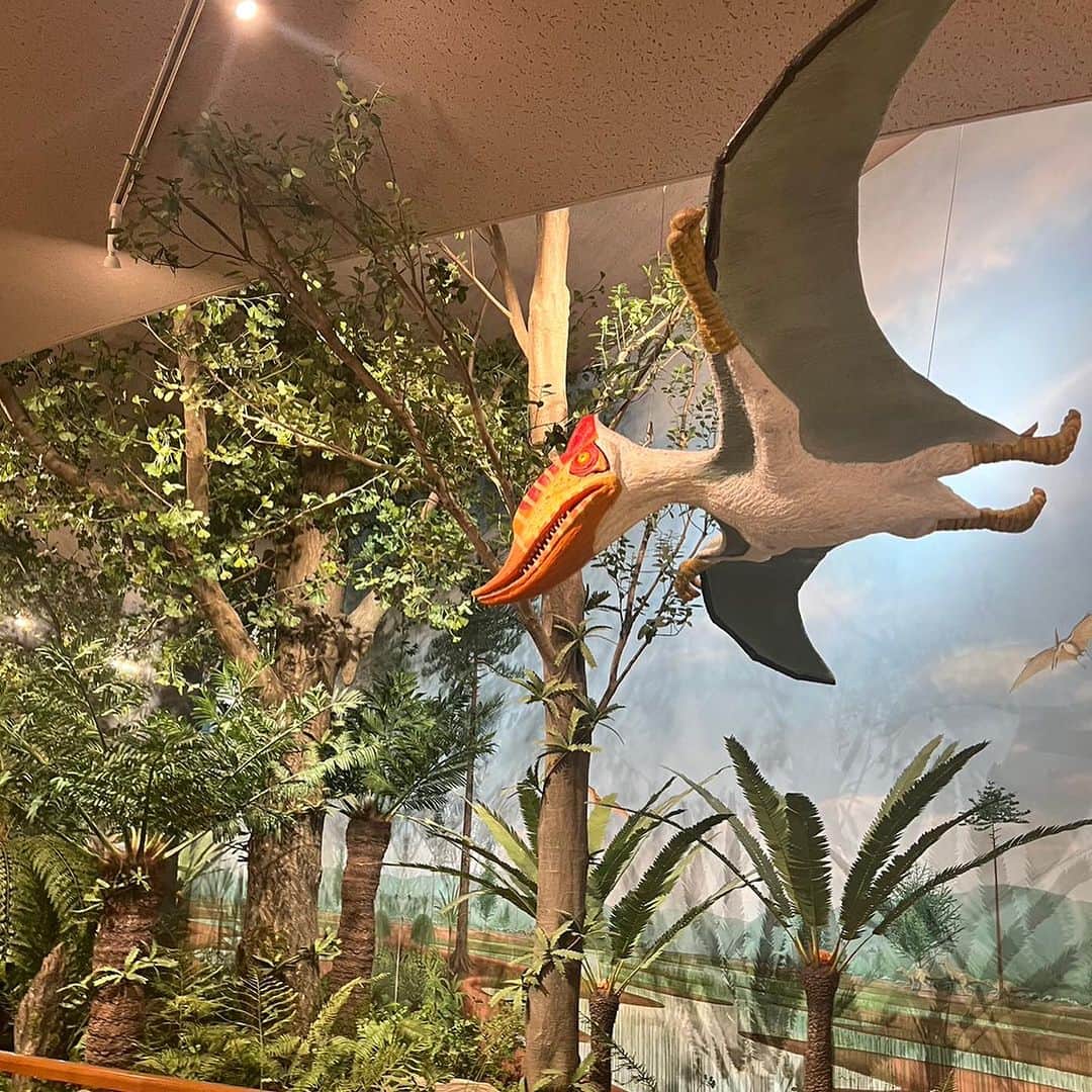 キャシー中島さんのインスタグラム写真 - (キャシー中島Instagram)「* 光ミュージアムの中はいくつかの展示ブースに分かれていて、いろいろな企画展示をされています。 その中の一つ、夏休みの子ども達が喜ぶだろうなぁ(間違いなくハルコとヒヅキは大好きです。)と思ったブースがこちらです❤️ 恐竜や宇宙をテーマにした企画展❗️ 外には実物大の恐竜が‼️ 🦕🦕🦕🦕 石川県にいた「かがりゅう」 ともう一つはチェックするの忘れちゃいました、😞  大きさにビックリ‼️でしょ！ 子供達、恐竜時代を楽しんでね！ 子供達はパパに任せて、 ママはキルトを楽しんでくださいませ❤️  ミュージアムショップも充実しています。 タオルやキルトのキットや本を置いてあります。  光ミュージアムの建物はまるでギリシャの神殿のようです 色が美しい❣️ 青い澄んだ空とピッタリね。  帰りの電車の中、ストールが活躍しています。  ご好評につき⁉️❓⁉️ スキップします。今回はハアハア言ってませんよ❣️  光ミュージアムの楽園のキルト展は9月4日まで開催しています。  さあ、明日はみなとみらいギャラリーに行きますよ。 11時ぐらいから、お昼休みをいただいて、16時までいます。」7月22日 18時44分 - official_kathynakajima