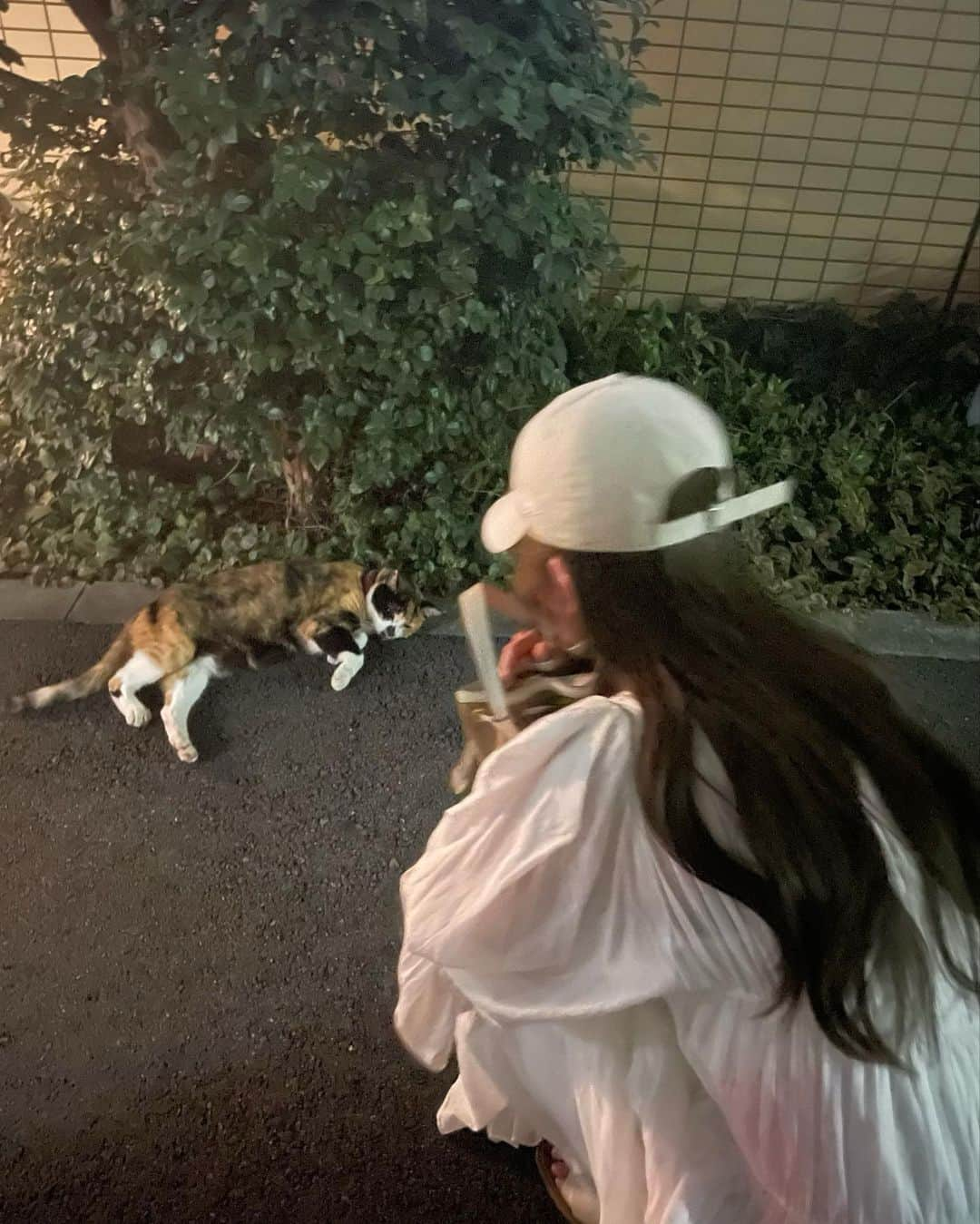 森みはるのインスタグラム：「撮影終わりに美味しいものをいっぱい食べたり可愛い猫ちゃんに遭遇したり幸せだった1日♡ この日はかえさんにからーしてもらいました✌︎ カラーしたての色もステキで好き！」