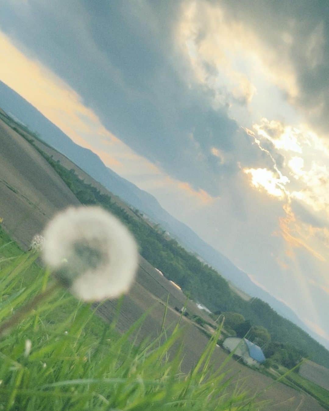 平野紫耀さんのインスタグラム写真 - (平野紫耀Instagram)「夏の終わりが寂しくなる前に、、、  #sho_film」7月22日 18時38分 - sho_h_desyo