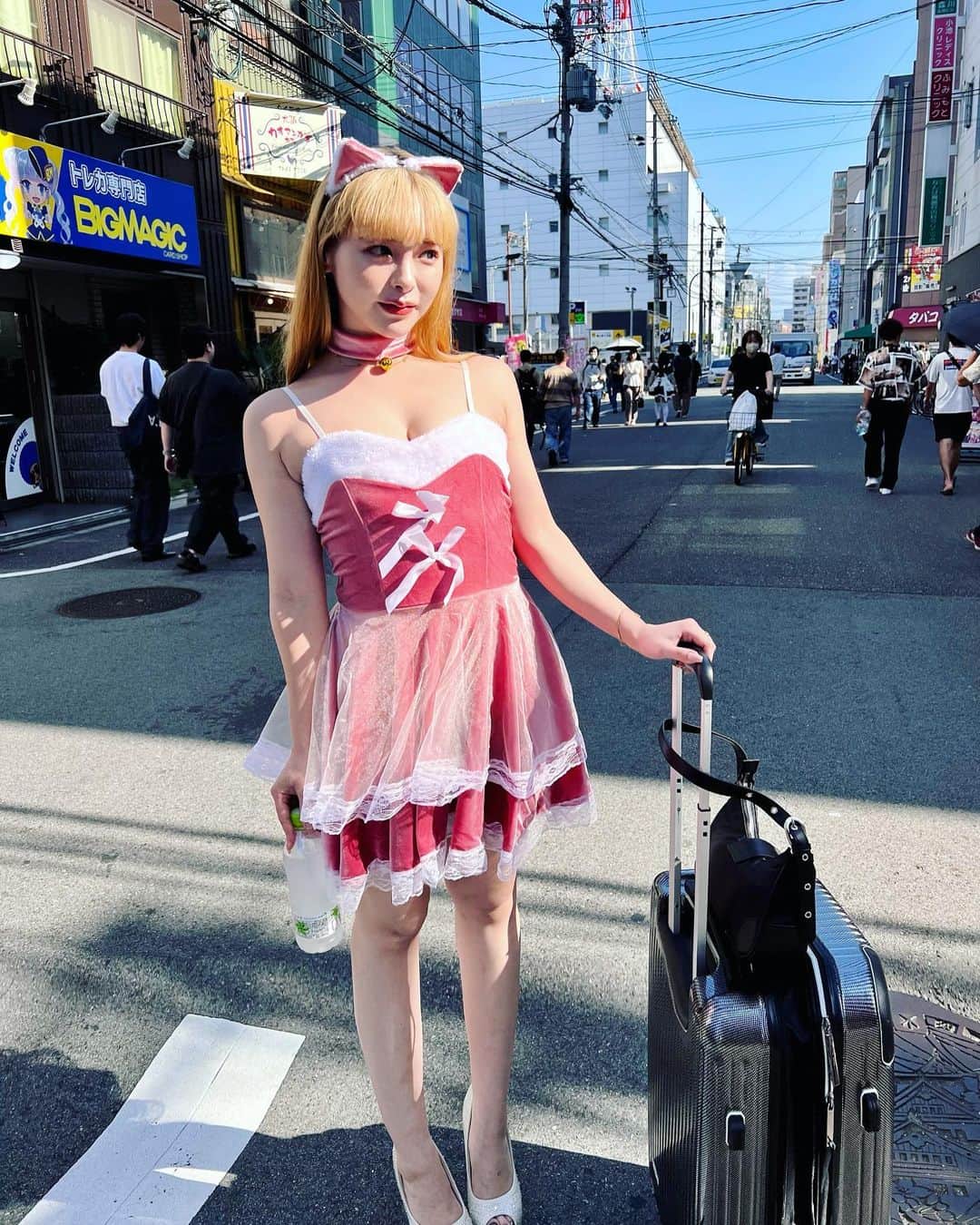 小倉由菜さんのインスタグラム写真 - (小倉由菜Instagram)「大阪の街中で  #猫🐈  #恥とかそういう概念ない #とにかくまぶしい」7月22日 18時41分 - ogura_yuna