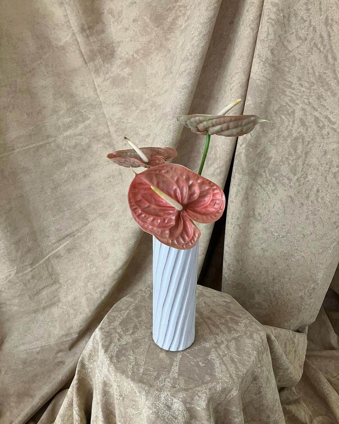 CanCamのインスタグラム