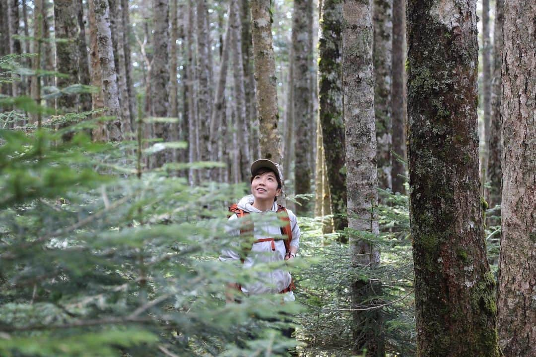 小平奈緒さんのインスタグラム写真 - (小平奈緒Instagram)「ただいま八ヶ岳⛰️💫 6月の爽やかな風を感じる季節に山登りを再開できました。 生まれ故郷の自然を全身で浴び、子どもの頃の記憶を辿りながら、あの時とはまた違う目線で登ることができました。  登山道ですれ違う人とは譲り合ってお互い気持ちよく挨拶ができるし、日常で忘れかけている大切なことを山は教えてくれます。 (少しの油断が命に関わることもあるので、準備と賢い判断も必要です。)  山小屋という帰る場所があり、自然や山道を守る人、声を掛け合って励まし合う山仲間がいて、己と向き合う瞬間があります。  改めて地元の魅力を感じ、それをお伝えできるチャンスをいただけて感謝です。  そして本日、一気に公開になります🌱 ぜひご覧ください！  ⚫︎ランドネ×Fun! Yatsugatake 📺  https://youtu.be/LegB66HrN7E  ⚫︎アウトドア雑誌『ランドネ』9月号  https://funq.jp/randonnee/article/900306/  ⚫︎広報ちの  https://www.city.chino.lg.jp/site/kouhouchino/202308.html  #八ヶ岳 #硫黄岳 #茅野市 #ランドネ #FunYatsugatake #広報ちの #登山 #相澤病院 #地域貢献活動 #TheNorthFace #newtralworks」7月22日 19時40分 - nao.kodaira