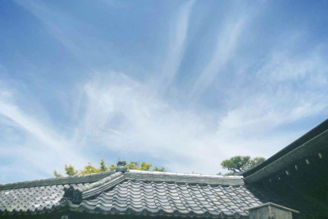 小田川楽空さんのインスタグラム写真 - (小田川楽空Instagram)「初めての嵐山心が穏やかになりました。  . . .  #kyoto #osaka #trip #嵐山 #京都 #大阪 #film #camera」7月22日 19時42分 - odagawa_takara