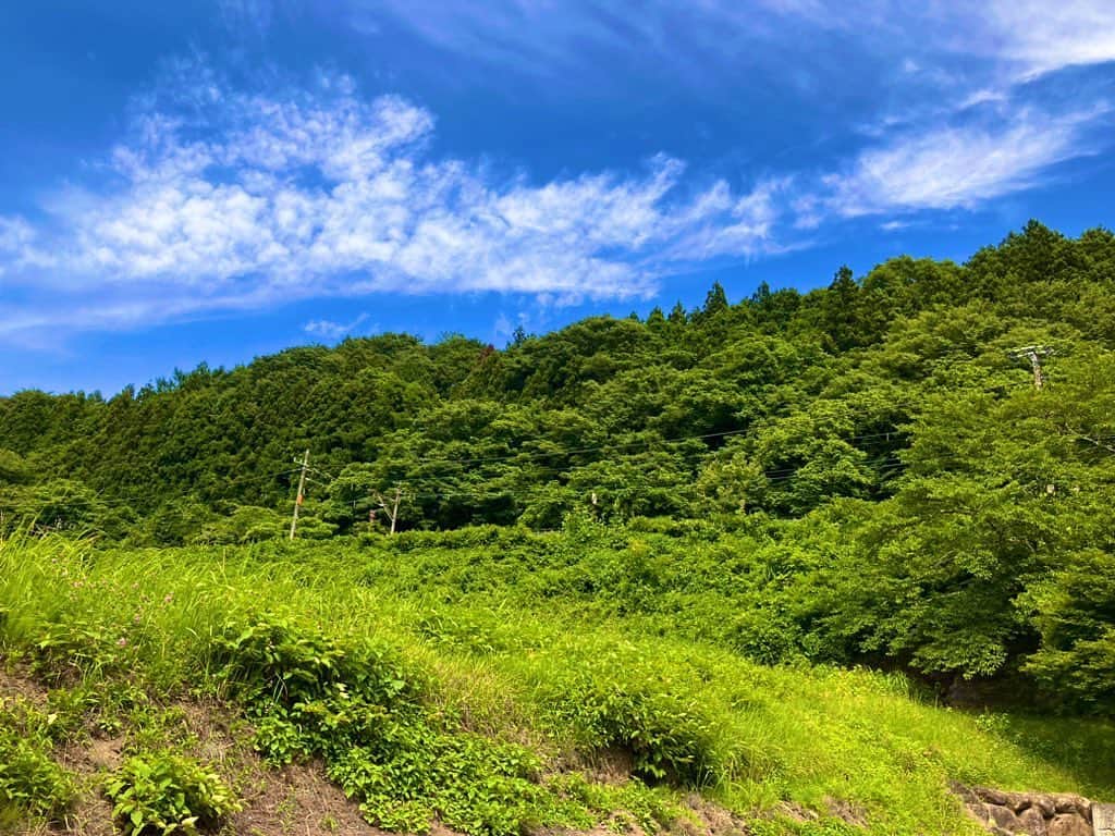 ISAOのインスタグラム：「great nature」