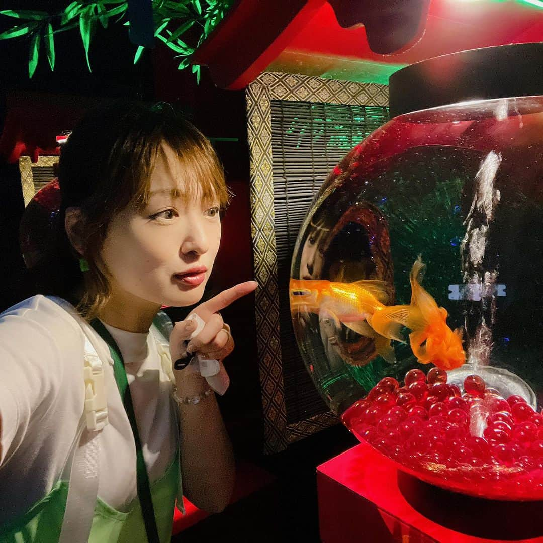 脇田唯さんのインスタグラム写真 - (脇田唯Instagram)「🐠  アートアクアリウム美術館GINZA に行ってきたよ✨  「百華繚乱～進化するアート～」をテーマに15年目を迎えた、アートアクアリウムの進化と華やかな空間が楽しめます❣  🥰めちゃめちゃキレイでした。 そして、本当に豪華！空間造りが素晴らしく、普段の水族館とかに興味ない人も見て楽しめると思いますよ☺️ ショップも充実してて見応えありました‼ 平日の夕方が狙いめかも？  📢来場数1,000万人超‼ 国内海外来場者多数の東京銀座の新名所👏  デートにも、家族とも、おひとり様でも楽しめる‪👍 過去最多の金魚が舞泳ぐ😲❗  アートアクアリウム美術館 GINZAでは 特別企画「夏のアートアクアリウム展2023～銀座の金魚～」を 6月30日（金）より開催中。  東京の夏の風物詩「夏のアートアクアリウム」を 銀座で楽しむことができます。  https://artaquarium.jp  PR @artaquarium_tm_official #夏のアートアクアリウム展 #artaquarium #アートアクアリウム #銀座 #東京観光 #tokyotravel #アートアクアリウム美術館GINZA #銀座の金魚」7月8日 11時37分 - post_yui