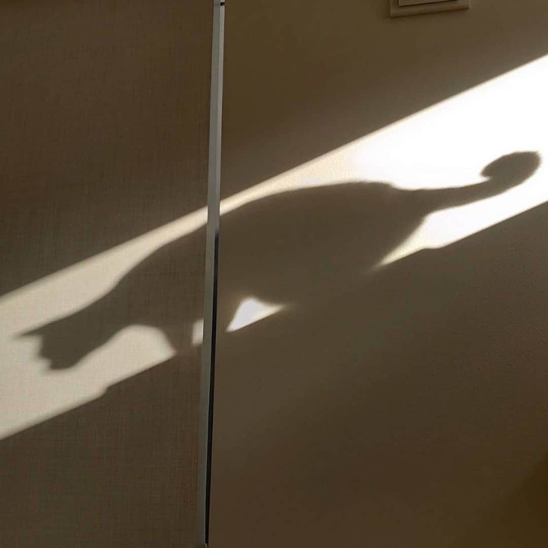 インゾーネさんのインスタグラム写真 - (インゾーネInstagram)「猫と暮らす家を建てて下さったオーナー様より、猫さんとの暮らしを共有いただきました！🐈  キャットステップ、キャットウォーク、窓台など、 猫の大好きな飛び乗れる場所や、 休める場所をたくさんつくったお家。  果たして、猫さんは本当に遊んでくれるのだろうか？ とスタッフとしてもその後の暮らしが気になっていました。  さて、 引っ越してから、の猫さんは、、、  家中走ったり、 ドアを開けようとぴょんぴょん跳ねたり お気に入りの窓台で日向ぼっこしたり 時にはキッチン収納の中に隠れたり、、、  新しい家を一番満喫してくれているようです！ よかった！🐾  オーナー様からも、 今まで見た事が無い可愛い姿がみれてとても楽しい。 猫ちゃんの家を作って本当に良かった！ とおっしゃっていただきました✨  ちなみに、 キッチンとリビングの間にある柱に 爪研ぎ用の麻ロープを巻いているおかげで、 ソファの被害もほとんどなし。 おすすめ！とのことです。☺️  ペットと暮らす家の事例など、 もっと建築実例が見たい方はこちら！ @inzone_design_labo または、「インゾーネの家　施工事例」で検索！  今一緒に暮らしているペットがのびのび暮らせる家にしたい。 これから、動物と一緒に暮らしたい。 そんな方もぜひ一度ご覧ください。  #猫と暮らす家 #猫と暮らす家づくり #ペットとの暮らし #キャットステップ #inzone #インゾーネの家 #inzonedesignlabo #johnsonhomes #ジョンソンホームズ  #札幌注文住宅 #札幌新築一戸建て #マイホーム #札幌家づくり #こだわりモデルハウス #インゾーネ」7月8日 11時52分 - inzone_design_labo