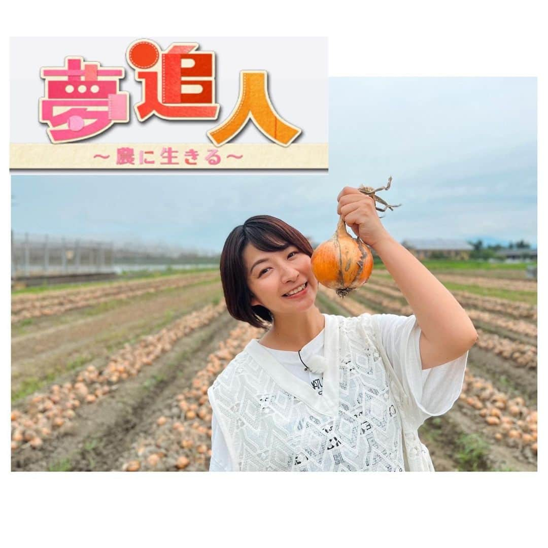 稲富菜穂のインスタグラム：「このあと12時から KBS京都📺夢追人O.A！  7月号から、 スタジオMCを務める事になりました🙇‍♂️  リポーターとして沢山ロケへ行き 農家の皆様の夢に触れてきました。 更にスタジオで中川会長と共に広がる夢のお話を聞かせていただき、更に濃く皆さんを応援させて頂きたいと思っています。  そして、 滋賀編のVTRにも出演させて頂いてます🙇‍♂️ 両方とも合わせて宜しくお願いします🤲  見れる地域じゃないよー、 見逃したよー、の方も。  KBS京都📺夢追人のHPから是非ご覧ください☺️  宜しくお願いします！🔰  #kbs京都 #夢追人」