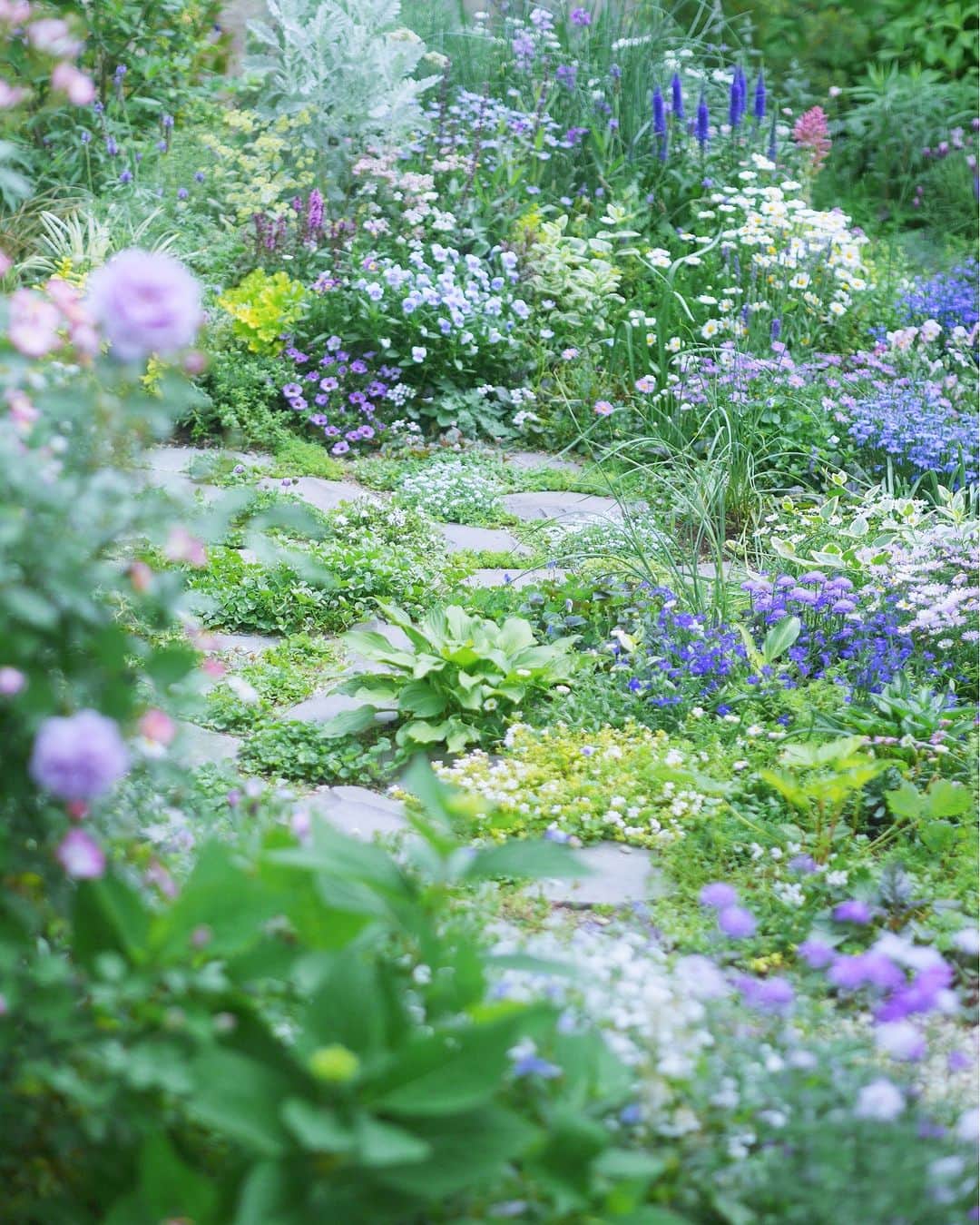 ムクリ［mukuri］さんのインスタグラム写真 - (ムクリ［mukuri］Instagram)「植物がくれる幸せ。庭のお気に入りハーブと使い方もご紹介  物心ついた頃から、とにかく 草花や動物が好きだった、と おっしゃるniconicoさん。  19年前に家を建てた時には 外構工事無しで引き渡してもらい そこからお庭づくりがはじまりました。  植物を育てて楽しむのはもちろん なるべく生活の中にも取り入れるように。  今回はお庭にあるお気に入りのハーブと その使い方もお伺いいたしました。  見ているだけでも癒されるので ぜひ写真と一緒にお楽しみくださいね♩  ▶︎ご紹介した読みもの 「庭を楽しむ」と検索するとご覧いただけます  –––––––––––––––––– ムクリ公式アカウントでは くらしの中にある"好き"や"コダワリ"を毎日お届け。  インテリア、整理収納から家づくりなど 日常で参考になる情報から サラッと読める短編コラムまで ご紹介していますのでフォローしてぜひご覧ください。 ▶︎ @mukuri_official ・  「 #ムクリ 」のタグもいつも楽しく拝見しています☺️  オリジナルブランドは @daily_mukuri  くらしの中にあったらいいいな、 そんな商品を企画・制作、集めています。 ––––––––––––––––––  #gardening #garden #花のある暮らし　#ガーデニング　#花　#flowerinstagram #naturalgarden  #mygarden #instagarden #庭のある暮らし#マイガーデン　#ナチュラルガーデン　#ガーデン　#ガーデナー#花好き　#植物好き#くらしの編集#ムクリ」7月8日 12時05分 - mukuri_official