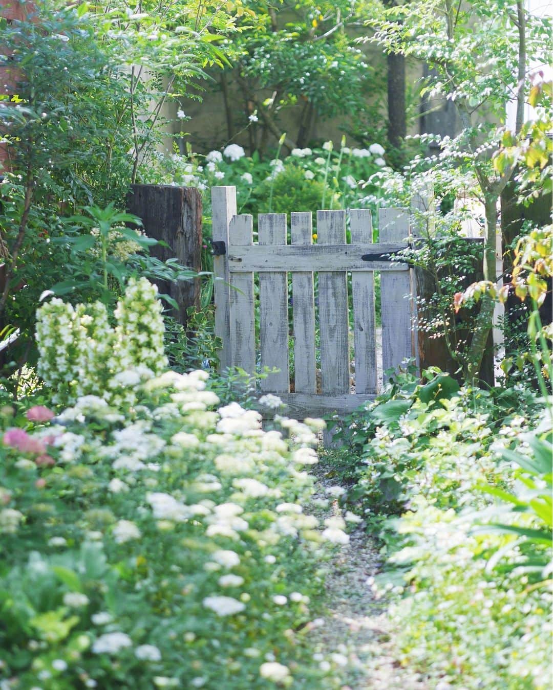 ムクリ［mukuri］さんのインスタグラム写真 - (ムクリ［mukuri］Instagram)「植物がくれる幸せ。庭のお気に入りハーブと使い方もご紹介  物心ついた頃から、とにかく 草花や動物が好きだった、と おっしゃるniconicoさん。  19年前に家を建てた時には 外構工事無しで引き渡してもらい そこからお庭づくりがはじまりました。  植物を育てて楽しむのはもちろん なるべく生活の中にも取り入れるように。  今回はお庭にあるお気に入りのハーブと その使い方もお伺いいたしました。  見ているだけでも癒されるので ぜひ写真と一緒にお楽しみくださいね♩  ▶︎ご紹介した読みもの 「庭を楽しむ」と検索するとご覧いただけます  –––––––––––––––––– ムクリ公式アカウントでは くらしの中にある"好き"や"コダワリ"を毎日お届け。  インテリア、整理収納から家づくりなど 日常で参考になる情報から サラッと読める短編コラムまで ご紹介していますのでフォローしてぜひご覧ください。 ▶︎ @mukuri_official ・  「 #ムクリ 」のタグもいつも楽しく拝見しています☺️  オリジナルブランドは @daily_mukuri  くらしの中にあったらいいいな、 そんな商品を企画・制作、集めています。 ––––––––––––––––––  #gardening #garden #花のある暮らし　#ガーデニング　#花　#flowerinstagram #naturalgarden  #mygarden #instagarden #庭のある暮らし#マイガーデン　#ナチュラルガーデン　#ガーデン　#ガーデナー#花好き　#植物好き#くらしの編集#ムクリ」7月8日 12時05分 - mukuri_official