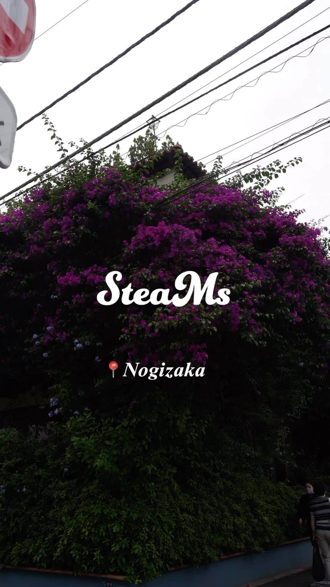 わちみなみのインスタグラム：「🆕SteaMs 📍乃木坂  美容がテーマの女性専用スチームサウナ  120分利用で¥5,500 半個室なサウナに喜びが隠せない👌  アメニティの豊富さと、 ヨーロッパや北欧を思わせる内装デザインに心奪われる女性多いのでは？  ハーバルサウナのハーブの調合は 朝と夜で効果の違うものを使用しているそう。  とにかくこだわりの詰まったサウナ、 是非体験してみてほしい👸🩵  #サウナ　#スチームサウナ #sauna #六本木　#乃木坂」