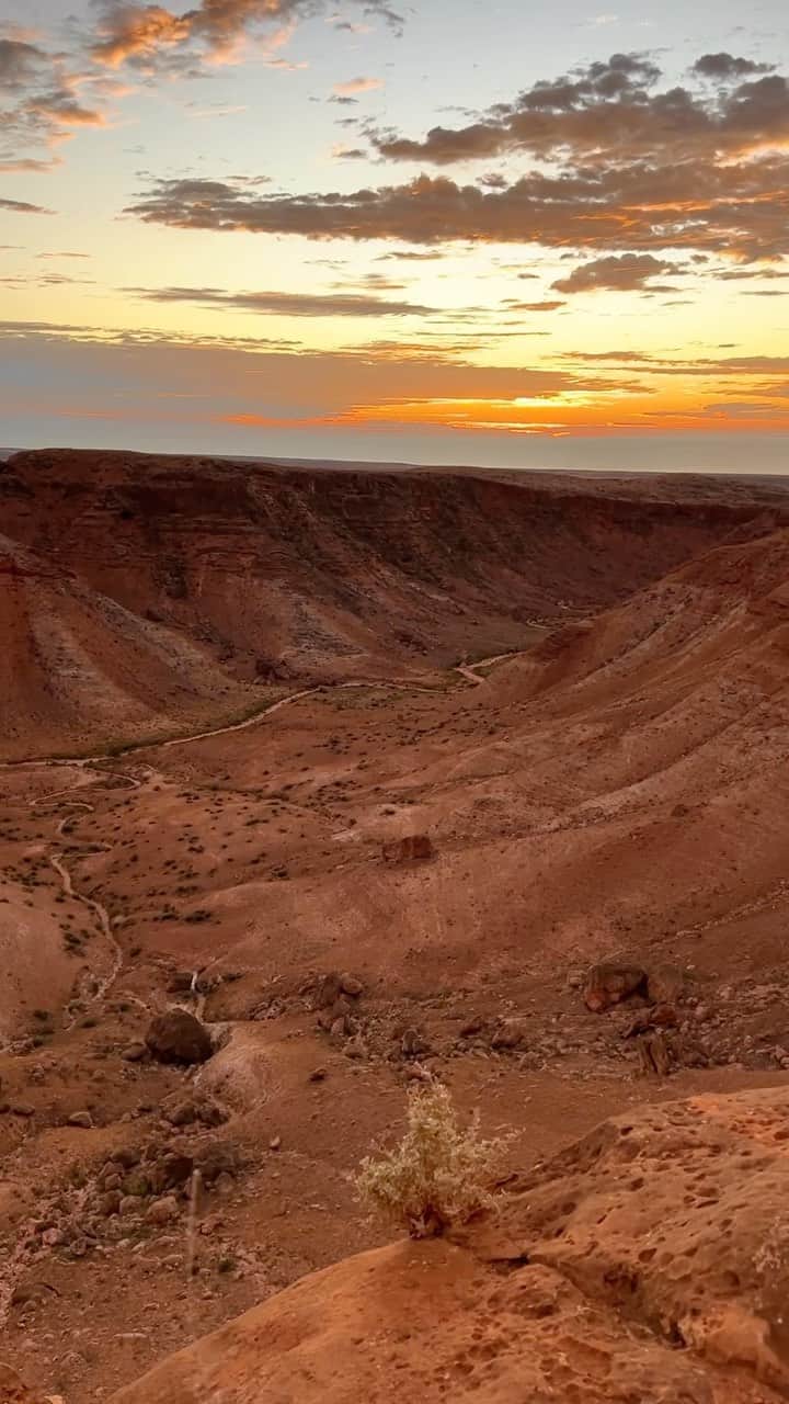 Australiaのインスタグラム：「Not a bad spot to enjoy your morning brew 😍 We’re just a tad envious of @miriammacemimfit’s view over #CharlesKnifeCanyon #CapeRangeNationalPark on @australiascoralcoast. If you’re planning a seld-drive visit, take #CharlesKnifeCanyonDrive which offers breathtaking views just like this as you wind your way up to the top of the Range. For those who prefer to sit back and relax, a day tour with @ningaloosafari will ensure you see all the best bits. Let the experts handle the driving while you soak in the beauty of this epic part of @westernaustralia.   🎥: @miriammacemimfit and @aussiedestinationsunknown   📍: Charles Knife Canyon, Cape Range National Park, #AustraliasCoralCoast, #WesternAustralia   #seeaustralia #comeandsaygday #wathedreamstate #visitningaloo」
