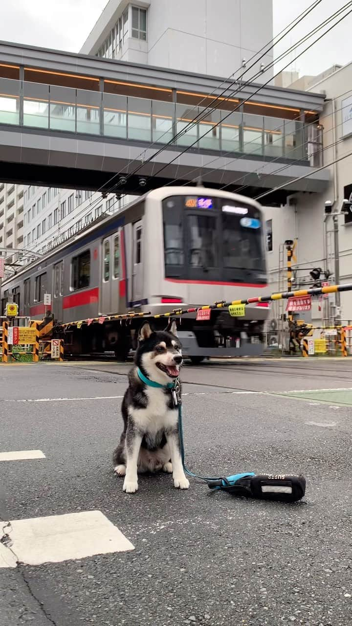 くろのインスタグラム