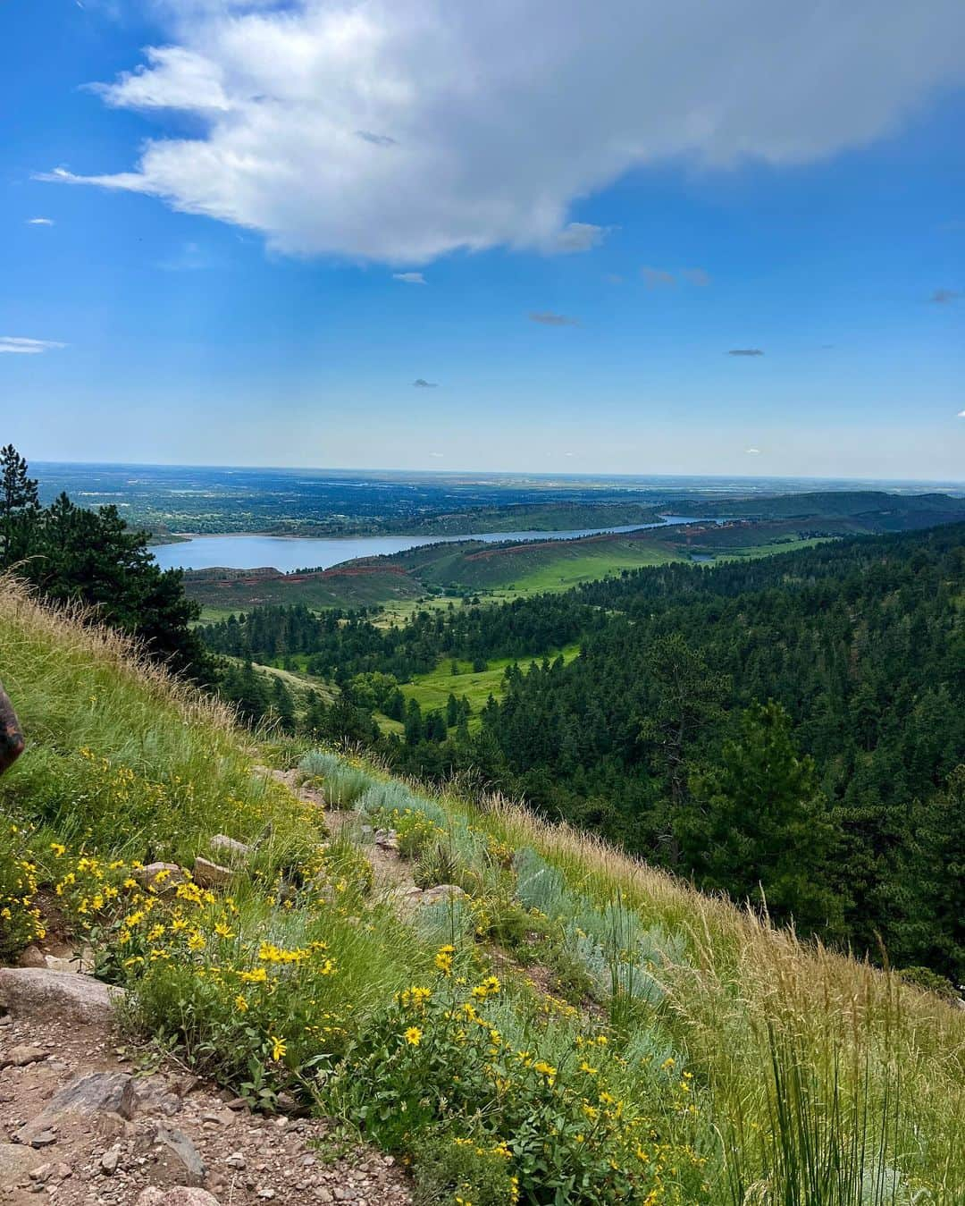 Jessica Weaverさんのインスタグラム写真 - (Jessica WeaverInstagram)「If you need to feel better, get in nature.   I promise it heals ❤️  #hikingadventures」7月8日 6時11分 - jessicakes33