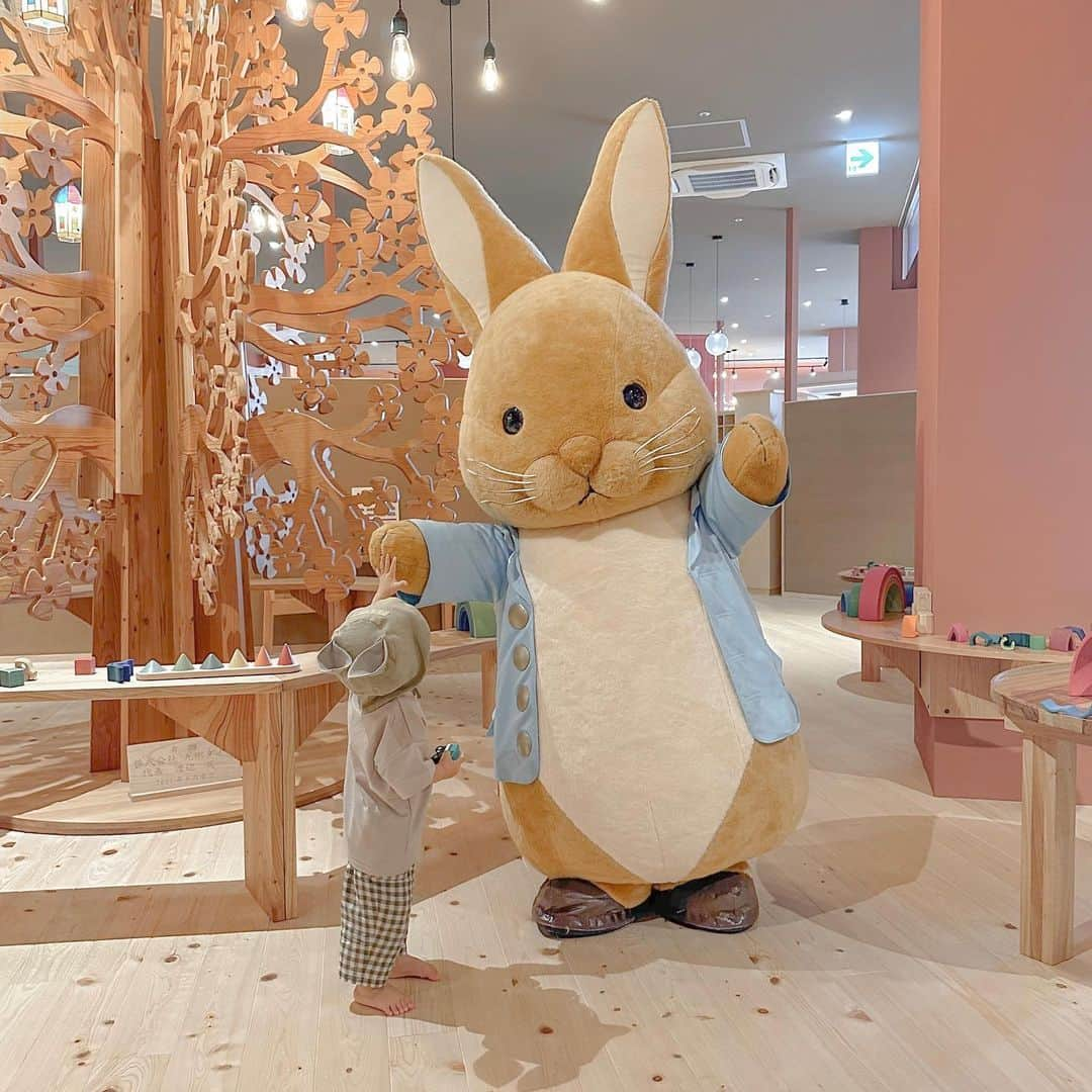 mai1220さんのインスタグラム写真 - (mai1220Instagram)「おもちゃ美術館にピーターラビットが来るよ🐰 @peterrabbit.jp  期間は7月8〜14日！ 一足お先に会ってきました☺️💓 着ぐるみのキャラクター達は怖いのか今までタッチさえした事なかったはるさんやけど😂 ピーターラビットは何故かヨシヨシしたりタッチしたりめっちゃ触れ合ってました🥰 もふもふで可愛かったーーー🤍 紙芝居やワークショップもあるので是非！ ⁡ ⁡ @fukuokatoymuseum おもちゃ美術館 福岡県福岡市博多区那珂6-23-1 ららぽーと福岡 ⁡ 10:00〜18:00 ⁡ 定休日:なし ⁡ ⁡ #ららぽーと #ららぽーと福岡 #lalaport #福岡おもちゃ美術館 #男の子ママ #木のおもちゃ #福岡ママ #福岡子連れスポット #福岡子連れ情報 #赤ちゃんのいる生活 #木育 #mamagirl #美術館 #福岡観光 #福岡ママと繋がりたい #令和3年ベビー #アンバサダー #1歳男の子 #1y7m #ピーターラビットとおもちゃ美術館 #キャラウォーカー #ピーターラビット #おもちゃ美術館 #自然となかよしピーターラビット木育 #木育 #PR」7月8日 7時00分 - mai1220