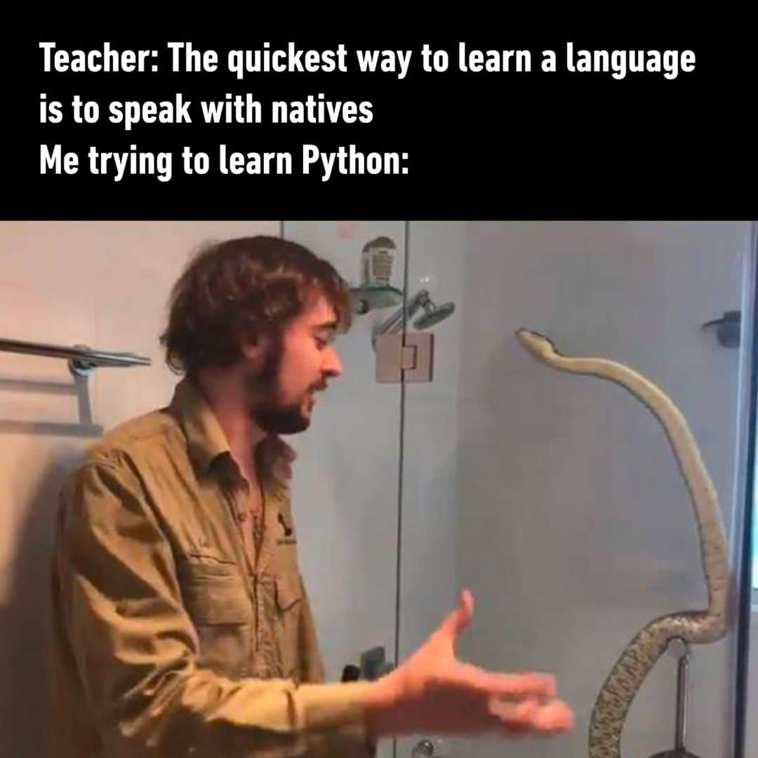 9GAGさんのインスタグラム写真 - (9GAGInstagram)「hisss - #python #language #programming  #memes #9gag」7月8日 7時01分 - 9gag