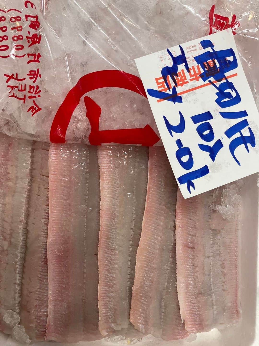 森田釣竿さんのインスタグラム写真 - (森田釣竿Instagram)「🇯🇵浦安泉銀🇯🇵本日の魚食え！コノヤロー！！！」7月8日 7時04分 - tsurizaomorita3710