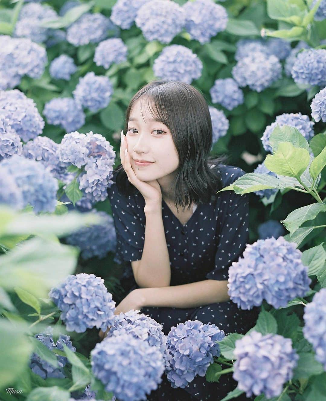 Masaのインスタグラム：「.  ▶︎▶︎▶︎ Swipe  1：Pentax6x7  Super Takumar 105mm F2.4 #PRO400H  2-3：Nikon F3  Nikkor 50mm F1.4  今年たくさん撮ったスポット。 この日が天気（雨上がりの曇り）も咲き具合も一番良かったかも。  昨日、雨予報で出られなかったのに、全く降らず。 今日は雨☔️  撮影日 : 2023年6月21日  #まさペン#エビプリ #pentax6x7 #pentax67 #バケペン #中判フィルム #film #filmcamera #filmphotography #フィルム #フィルムカメラ#フィルム写真 #igersjp #portrait #ポートレート #fujifilm #filmisnotdead #滋賀 #shiga #紫陽花 #芦刈園 #もりやま芦刈園 #hydrangea」