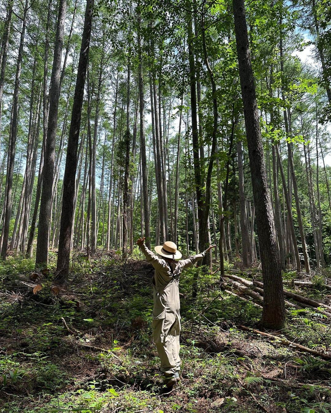 早坂香須子さんのインスタグラム写真 - (早坂香須子Instagram)「森の打ち合わせのために、長野県へ。  うっかり過ぎる忘れ物をしてしまい、東京↔︎長野を一往復半、ユーミンのライブで打ち上げられた花火に励まされながら、中央道10時間ドライブの末にヘロヘロで辿り着いた松本十帖・小柳。  シンプルな部屋にベッドとかけ流し温泉。欲しいものは全部あるってこういうこと。温泉で英気を取り戻し、翌朝大町市にある私の森へ。  建築家360°の納谷さん、太田さん、地元工務店Space Design の平山さんと合流し、設計の最終確認や間伐材の使い道の打ち合わせを。森に隣接する盛り土されていた部分の土壌改良作業をはじめてもらっていて、掘った穴にはいってみたり。自分の土地の土壌深くまで見れることはあまりないので、土の層に大興奮。ここが整ったらレンゲやハーブを植えたい。  平山さんが木材の地産地消のために投入したという、どでかい乾燥機や製材設備も見学しました。 このマシンを使うことで、最短4日、長くても２週間で木を真っ直ぐな角材にすることが可能になり、おかげで自分の森で間伐した木を使った家に住めることに🏠🌳✨  これは森からの最高のギフトかもしれない。  もちろん、時間をかけてじっくり木を乾燥した木は密で強く、素晴らしい木材になる。いろんな選択肢はありますが、国産木材の自給率が上がって森と人のいい関係が広がるといいなと思う。一度人の手が入った森林は、人が木を間引いて利用していくことで生きる。学んで知っていたことを体験できたことは本当に有り難いこと。間伐後に木を切り過ぎたと落ち込んだ私ですが、たくさんの方のサポートのおかげで、森と人との共存関係に一歩踏み入れることができました。森に来てくださったみなさま、ありがとうございます。  メンズたちは工場見学に大興奮！その姿は完全に夏休みの少年たちw  　私は　@y_shop_nishi の沁みる蕎麦で一休み。そして、まだまだ間伐材利用の旅は続く…  #森プロジェクト  #松本十帖 #長野県 #森のユニフォームは　@neemee_official」7月8日 8時41分 - kazukovalentine