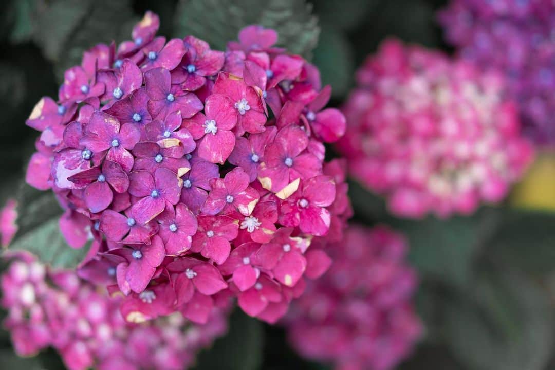 坪井遥司さんのインスタグラム (坪井遥司yojitsuboi)