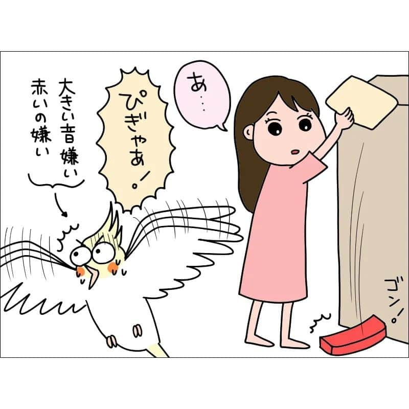 あぽりさんのインスタグラム写真 - (あぽりInstagram)「オカメインコのほっぺです。⁡ ⁡こんな怒り方をするなんてね！😆⁡ ⁡大きい音怖いもんね。⁡ ⁡⁡ ⁡詳しくは、ストーリー、ハイライト、⁡ ⁡プロフィール(@apori33 )のリンクから⁡ ⁡飛んで読んでみてください♪⁡ ⁡⁡ ⁡昨日のポストにコメントありがとうございました☺️⁡ ⁡セザンヌのチーク、使っている方がたくさん！⁡ ⁡みんなでお揃いですね🥰⁡ プチプラ最高！⁡⁡ ⁡娘はキャンメイクも使ってます♪⁡ ⁡⁡ ⁡ #オカメインコ  #ルチノー  #ほっぺ  #ペット  #インコ  #鳥  #絵日記  #絵日記ブログ  #イラスト  #イラストエッセイ  #漫画  #漫画ブログ  #あぽり  #ライブドアインスタブロガー  #ライブドア公式ブロガー⁡ ⁡ ⁡」7月8日 9時15分 - apori33