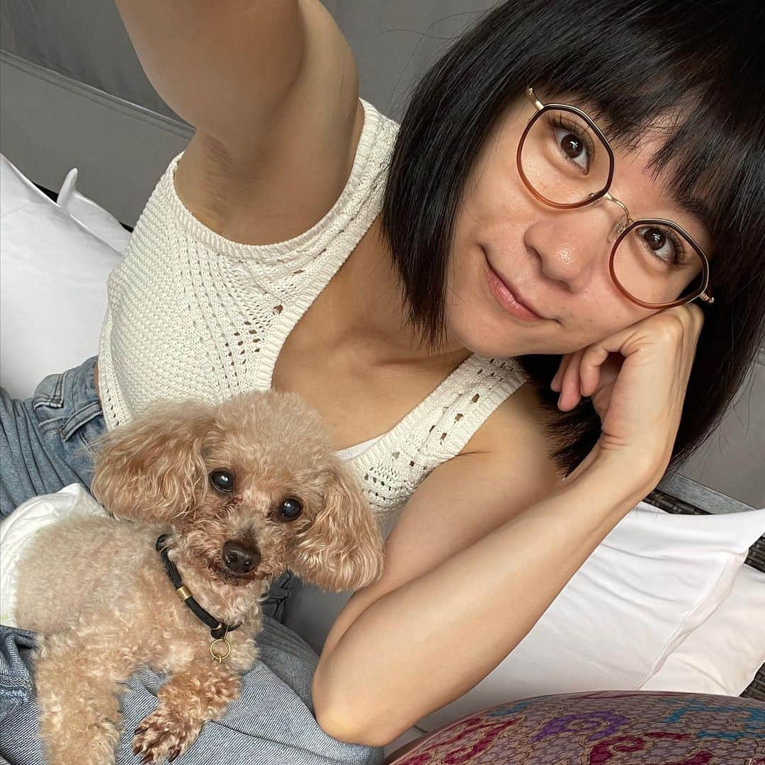 時東ぁみさんのインスタグラム写真 - (時東ぁみInstagram)「たくさんのご協力のもと保護犬の譲渡会を開催させていただきます🐶 ・ swipe→2  7/23(日)11:00-16:00 保護犬譲渡会イベント  【企画】『幸せ家族チャリティー』 @shiawase_family  時東ぁみ(ペット災害危機管理士)  みづきあかり(ペットシッター) @akari.mizuki @shibawan_gd  樋宮純一(カメラマン)  【開催場所】FRIENDMONSTER 大田区池上4-16-8 1F @friend_monster_2023   【参加里親募集犬】ビセイルアニマル @rescue_dog_cat   【内容】 ・譲渡会 ・物販(スイーツ、犬用おやつ、犬アパレル) ・プロが撮影する撮影会 ・犬のプロたちのトークショー  【入場料】 1ドリンクご注文ください。  ☆来場者にはペットの試供品プレゼント☆  【譲渡会という場でペットとの暮らしに役立つ情報も発信し、よりよいペト】 ・犬を迎えたい方 ・犬を飼いたいけど悩んでる方 ・多頭飼いを考えてる方 ・犬に悩みがある方 ・ただただ犬が好きな方 ・犬に興味ないけど応援してくれる方  もちろんペットを連れてのご参加OK🐶 ・ 顔出すだけでも、犬やボランティアさんのパワーになります！ スタッフとして私もいますで、ぜひお越しください☆ お待ちしております！！！ ・ #時東ぁみ #チャリティー #保護犬 #譲渡会 #池上 #物販 #トークショー #ドッグラン #室内ドッグラン #ドッグカフェ  #幸せな家族写真 #撮影会 #幸せ家族 #家族写真 #幸せ家族チャリティー #撮影 #ペット撮影 #動物チャリティー #ペット #愛犬 #愛犬家 #🐶 #犬好き #犬好きさんと繋がりたい #犬好き集まれ」7月8日 9時15分 - amitokito