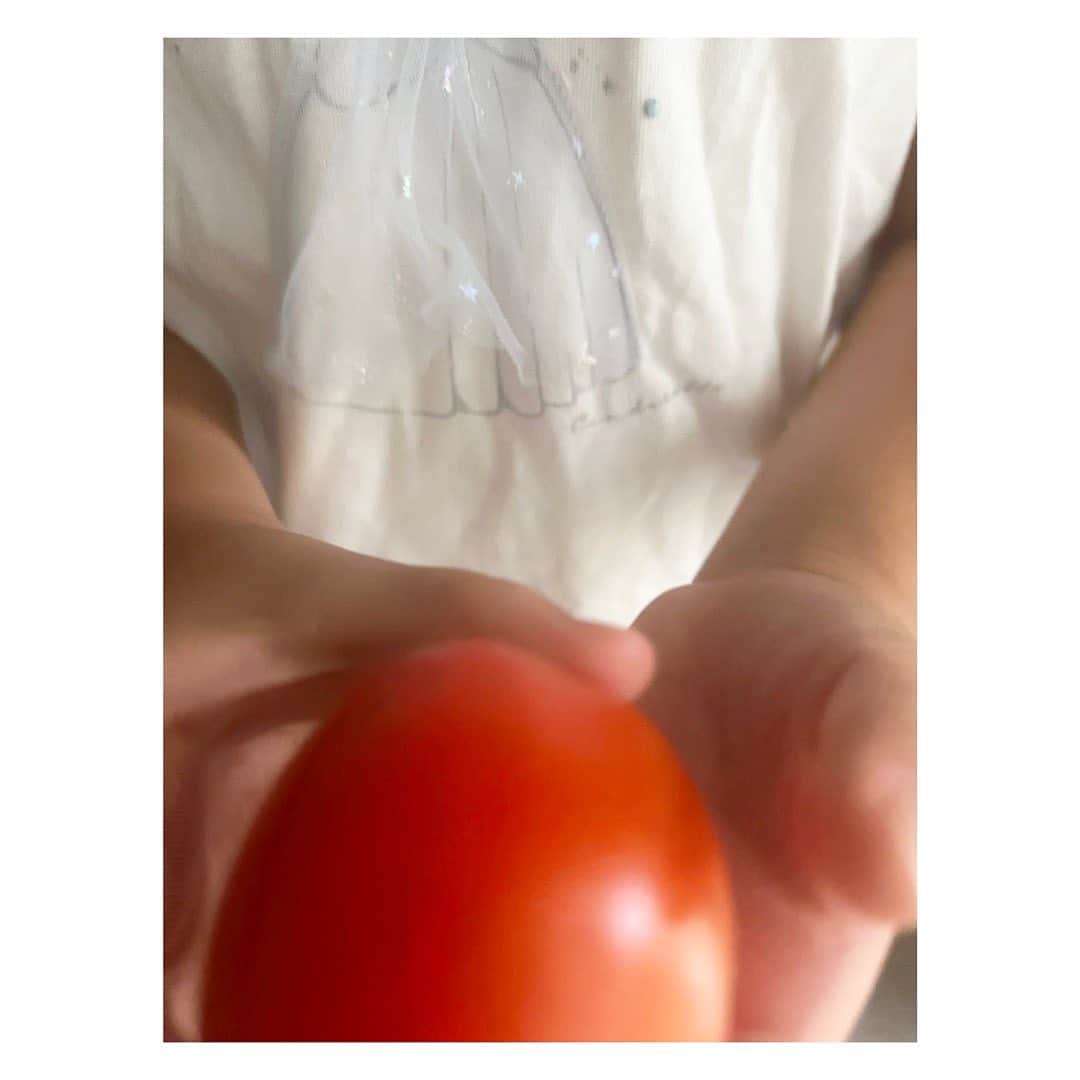 松尾翠さんのインスタグラム写真 - (松尾翠Instagram)「植物とこどもと暮らし🌿  ミニトマトに続いて、ようやく大きめトマトもあか〜く。 毎日起きると赤いトマトが増えてないかチェックするのが日課になったチビたち。 ミニトマトは大体その場で食べちゃうんだけど(美味しい、さいこう) 大きいトマトは持ってきてくれた🍅 きゅうり収穫のボーが背負っているのは…  福永家の人気コスプレアイテム「かめの甲羅」 スーパーマリオの映画を観に行こう✨と言ってるので 気持ちを高めてるのだ。  水筒はハーブと自家製はちみつスポーツドリンク。  なんてことない、それって特別、たのしいな。  2周年すぺしゃるの本屋SENSE OF WONDER は 今日まで(８日22時まで)です👍 暮らしを愉しむ本とアレコレ。 まだの方、ぜひ覗いてみてください。 @senseofwonder_kyoto  トップページのプロフィールリンクより✨ 本のガチャポンも今月はやってるよ🫶 うちの本棚からあなたへ。本のバトンです。  ちょっとうれしい毎日のお供に。  今日もそれぞれの持ち場で 笑顔多めの一日を✨  #こどもと暮らす #天然生活#植物が好き#ハーブのある暮らし #トゥルシー#はちみつ #松尾翠#本屋さん#本が好き #絵本」7月8日 9時46分 - midori.matsuo_official