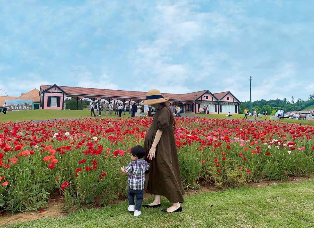 田中響子さんのインスタグラム写真 - (田中響子Instagram)「満開のポピーと💐  お花を見つけると嬉しそうにする息子🧒🏻 赤ちゃんの頃からずっとです。  こういう豊かな感性を持ったまま 育って欲しいなぁ🌿」7月8日 10時08分 - coco.golf