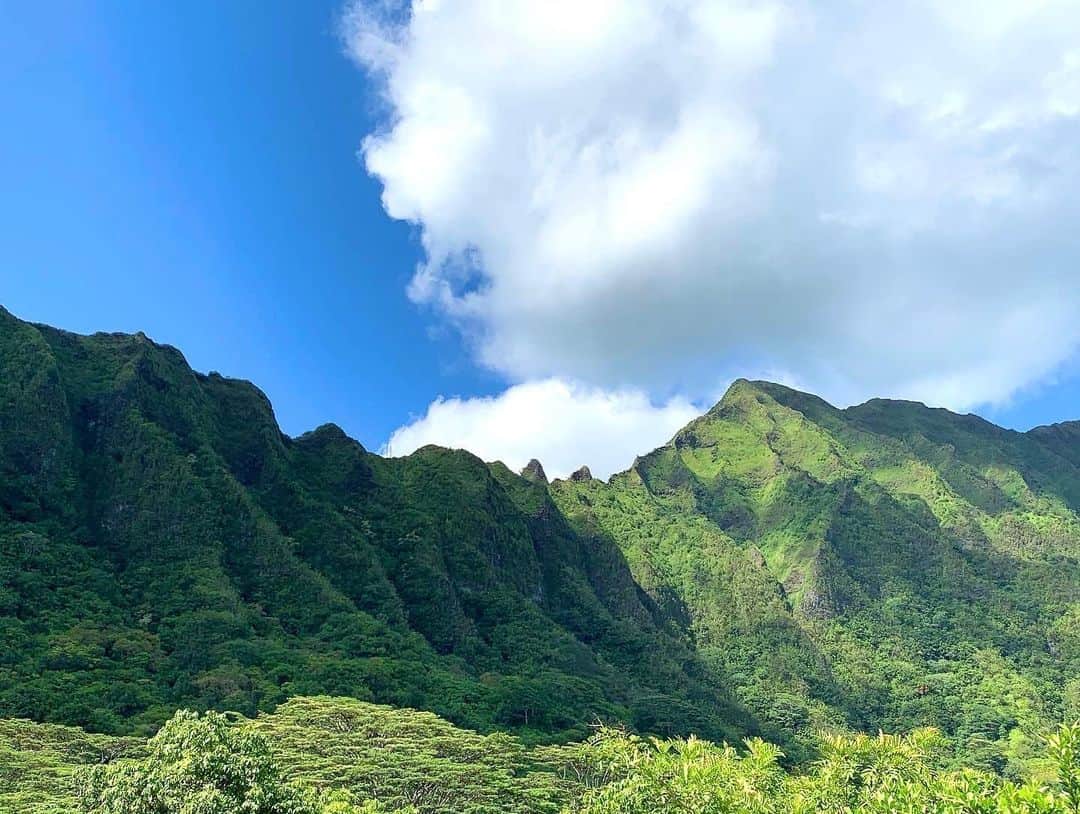 Instagenic Hawaiiのインスタグラム：「Aloha!  オアフ島の東海岸をノースに向かってドライブしていると、遠浅でエメラルドグリーンの海と、ギザギザの山肌が特徴的なコオラウ山脈が見えてきます🚗💨  オアフ島には２つの山脈が並び、コオラウは東側の山脈で、西側はワイアナエ山脈⛰️  ハワイでのドライブは、海と山どちらの絶景も楽しめるのが魅力の一つです🌴✨  #ハワイ #山 #海 #山脈 #コオラウ #ドライブ #絶景 #景色 #オアフ #ハワイ旅 #ハワイ観光 #ハワイ旅行」