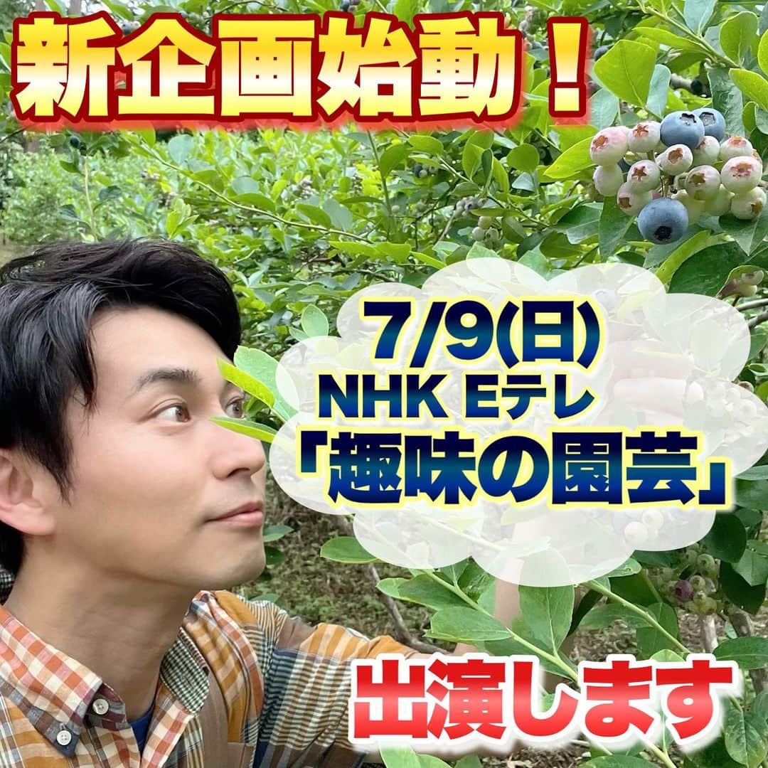 三上真史のインスタグラム：「7/9(日)朝8:30〜 NHK Eテレ「趣味の園芸」 に出演いたします。  今回から新企画、ニッポン実りのわざが始まります！ 全国の果物、果樹の生産者さんを訪ねます。  第1回目の今回はブルーベリーです！ ブルーベリー栽培の概念が覆る素晴らしい栽培方法に迫ります！ 私、三上流のブルーベリー栽培の楽しみ方もご提案。 ぜひご覧ください。  #趣味の園芸 #ブルーベリー #NHK #Eテレ」