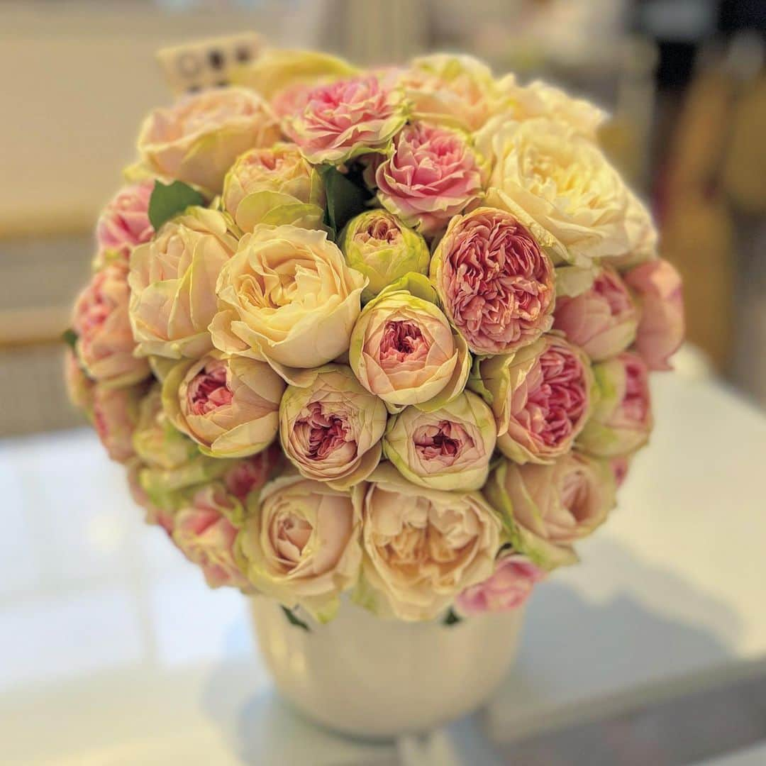 木村安梨沙のインスタグラム：「💐💐💐」