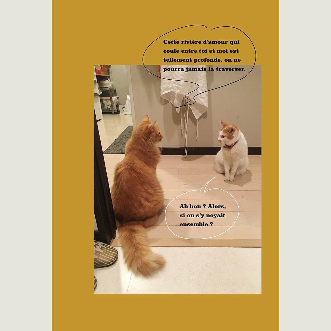 猫沢エミさんのインスタグラム写真 - (猫沢エミInstagram)「今日から1枚ずつ『猫沢組🎀POSTCARDBOOK』〜あなたがいてくれたら、私は世界一幸せ。　をご紹介していこうと思います。  ただのかわいい猫ポストカードとは、一味も二味も違うぜ✨  Design: @wakai_tri 若井夏澄さん  🐾　🐾　🐾　🐾  キミとボクのあいだに流れる愛の川が深すぎて、なかなか渡りきれないね。   そう？　なら、ふたりで溺れればいいじゃないの。  – Cette rivière d’amour qui coule entre toi et moi est tellement profonde, on ne pourra jamais la traverser.  – Ah bon ? Alors, si on s’y noyait ensemble ?  🐾　🐾　🐾　🐾  ◎2023年8月31日 TAC出版より発売。現在、Amazonでご予約受付中です❣️   ストーリーズ・ハイライト『猫沢組POSTCARD BOOK』2枚目にリンクあり。もしくはAmazon→「猫沢組」で検索を🔍  #ユピ坊　#猫沢イオ　#CHANECHOES  #猫沢組ポスカブック　#猫パリ　#猫沢組」7月8日 21時04分 - necozawaemi