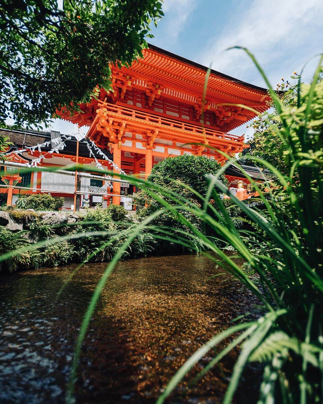 京都いいとこフォトのインスタグラム：「. 境内を流れる小川のせせらぎ。 風に揺れる風鈴、森のさざめき。 涼やかな音に包まれる上賀茂神社の夏。 . The murmur of a stream flowing through the precincts of the temple. Wind chimes swaying in the wind, the rustle of the forest. Summer at Kamigamo Shrine is filled with cool sounds. . Date:2023.7.7 Location:#上賀茂神社 #kamigamoshrine Photo:@iharalba .」