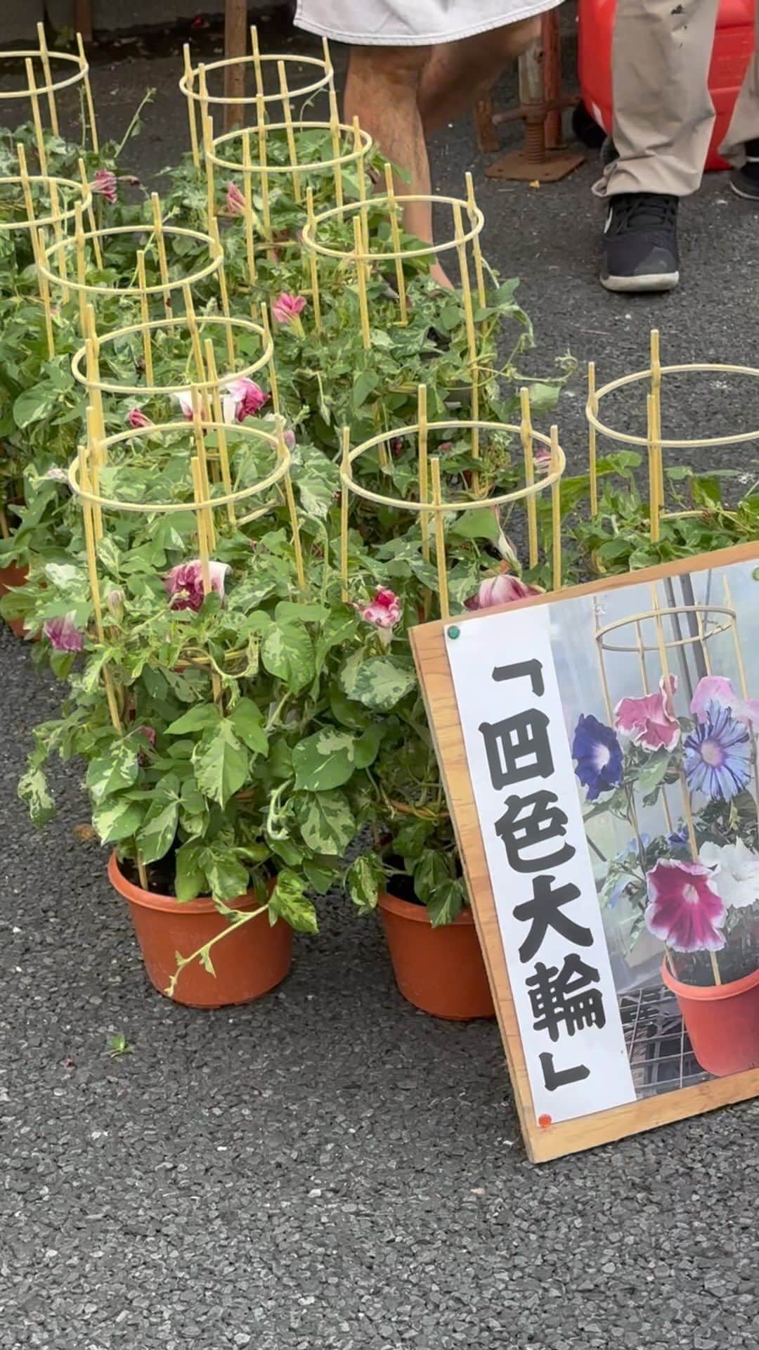 秋山衣梨佳のインスタグラム
