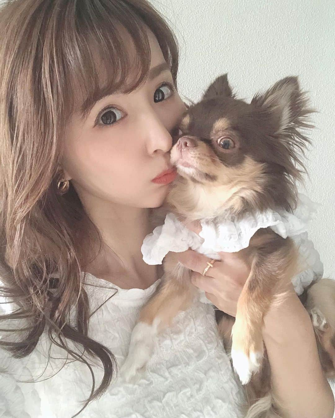 花清まゆこさんのインスタグラム写真 - (花清まゆこInstagram)「子供じゃなくて、犬とペアルックする日が来るなんて、、、 🐶❤️🥰  #gu @gu_for_all_  #おそろ  #おそろコーデ  #ペアルック #おそろい  #犬とペアルック #チワワ #チョコタンチワワ  #dog #pairlook  #shein  #犬のいる暮らし  #溺愛 #love  #犬なしでは生きていけません会」7月8日 21時32分 - mayuusa610