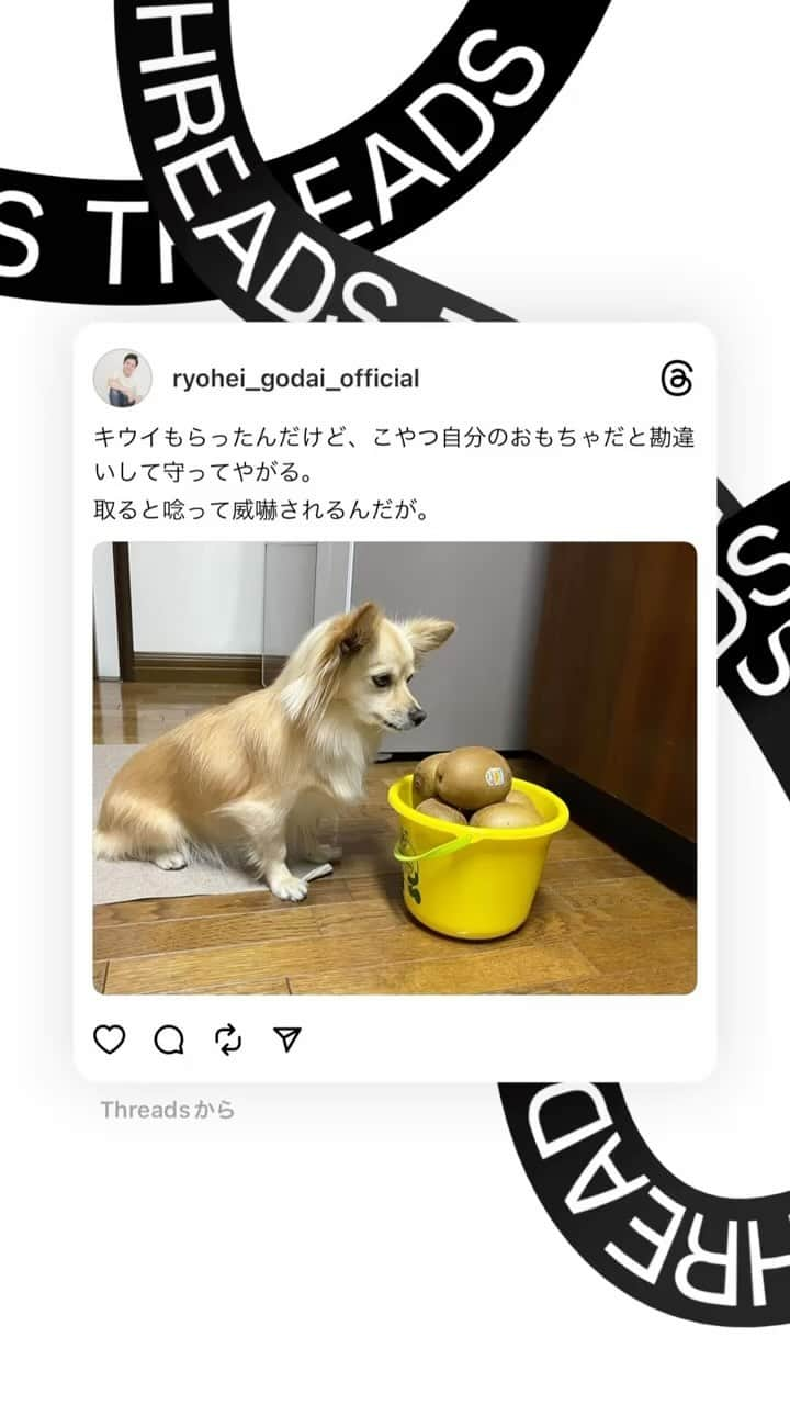 五代了平のインスタグラム