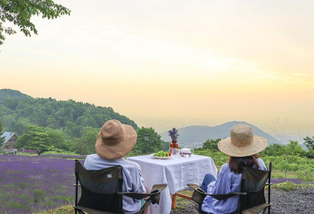 sayoko_betseyさんのインスタグラム写真 - (sayoko_betseyInstagram)「lavender morning picnic💜🌅 ⁡ 1年前朝焼けを見に来た時、来年はラベンダーが咲いてる時に来て朝ごはん食べたいと思ってたのが叶って💜 ⁡ それはそれは静かで良い香り漂う朝でした ⁡ @cazina_beatriz ありがとうございます✨ ⁡ シェアファームのマロウでちょっとラベンダーカラーのハーブティーも楽しんだ🫖 ⁡ 4枚目は、天空のラベンダー園で私達、天使になっちゃった👼　 と見せかけて遊びに来ていたフワフワわんこ達 @fleur_farine  2匹ともラベンダーが似合うんだ🥺 ⁡ #hokkaido #summer #july #sapporo #lavender #lavenderpicnic #sunrise #北海道に恋してる #北海道 #北海道旅行 #誰かに見せたい景色 #夏休み #7月 #週末野心 #ラベンダー #ラベンダー畑 #ピクニック #最高の朝ごはん #札幌 #日の出 #夏夜日記」7月8日 13時25分 - sayoko_betsey