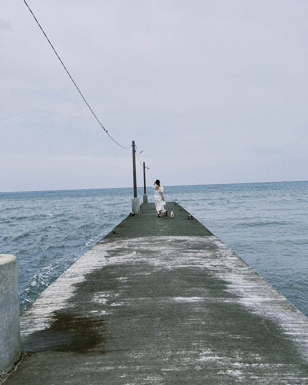 渡邉幸愛のインスタグラム：「🌊🌉🐶  #岡本桟橋」