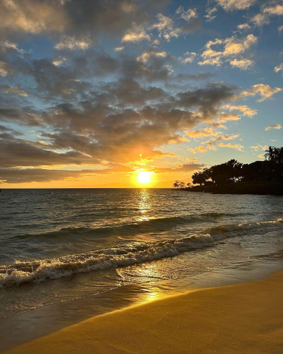 秋倉諒子さんのインスタグラム写真 - (秋倉諒子Instagram)「Good vibes🪼🏖️🌅 #hawaii」7月8日 14時37分 - ryokoak45