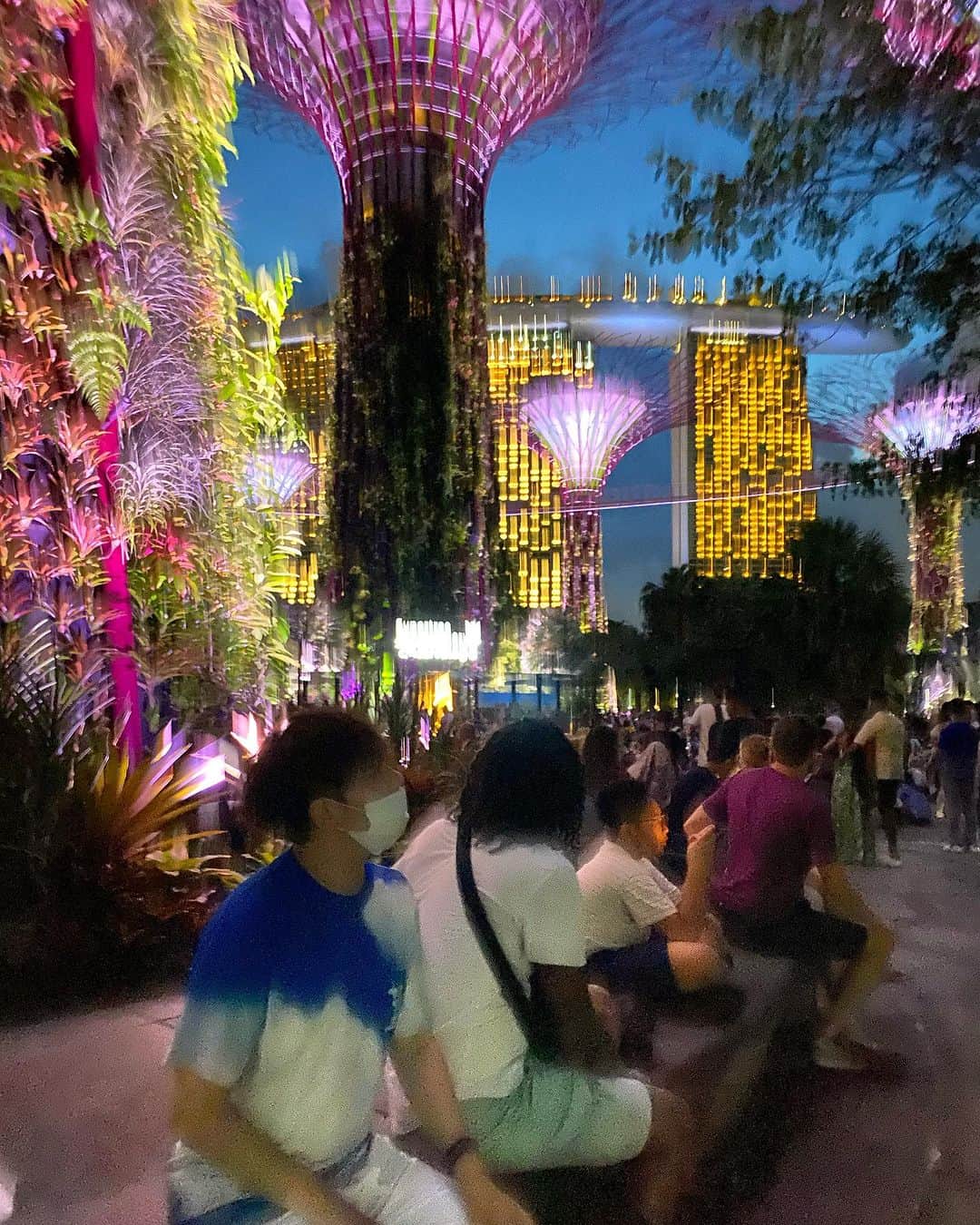 クォン・スンイルさんのインスタグラム写真 - (クォン・スンイルInstagram)「#SupertreeGrove ✨ #GardensByTheBay 💐 #Singapore」7月8日 15時04分 - urbankwon
