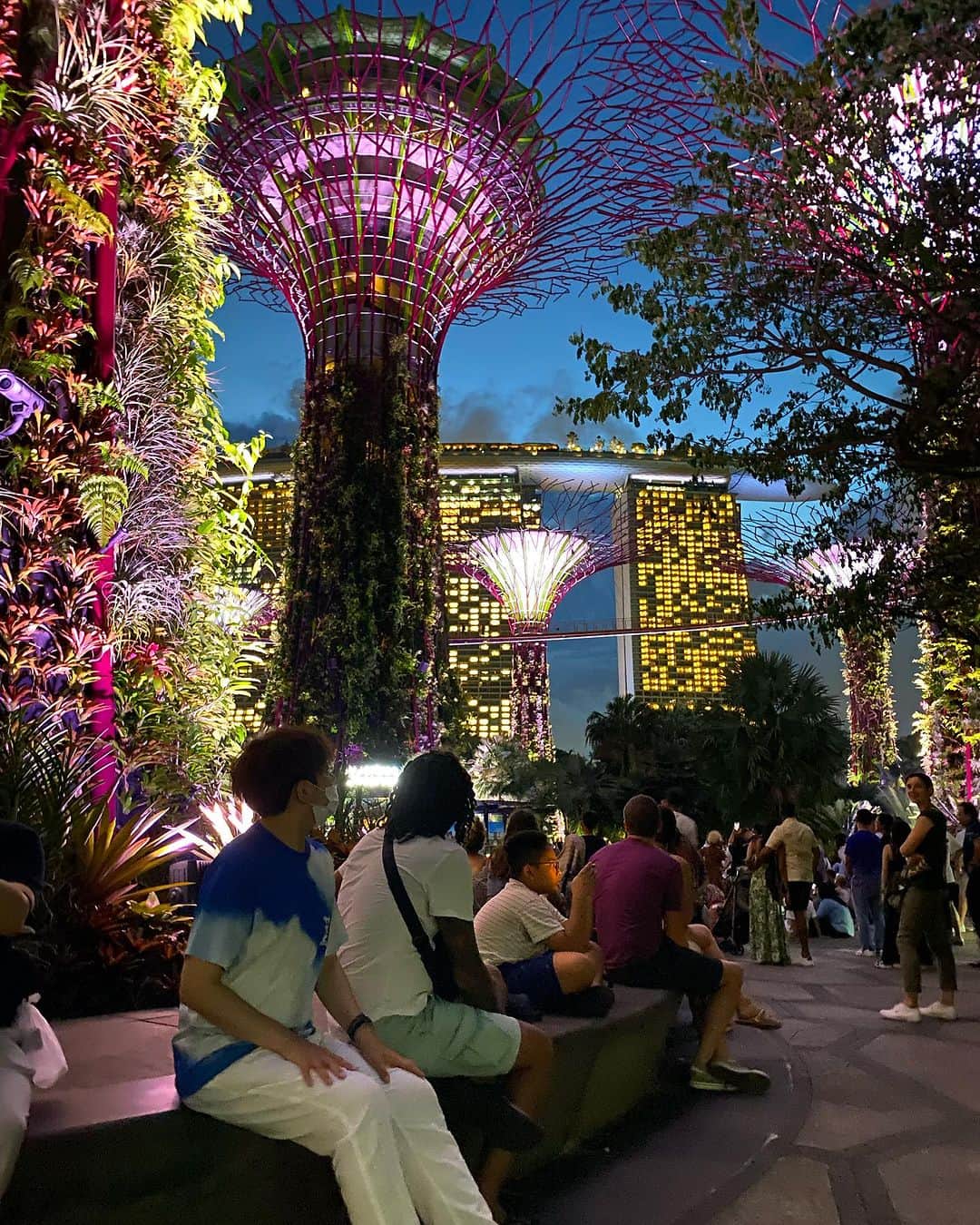 クォン・スンイルのインスタグラム：「#SupertreeGrove ✨ #GardensByTheBay 💐 #Singapore」
