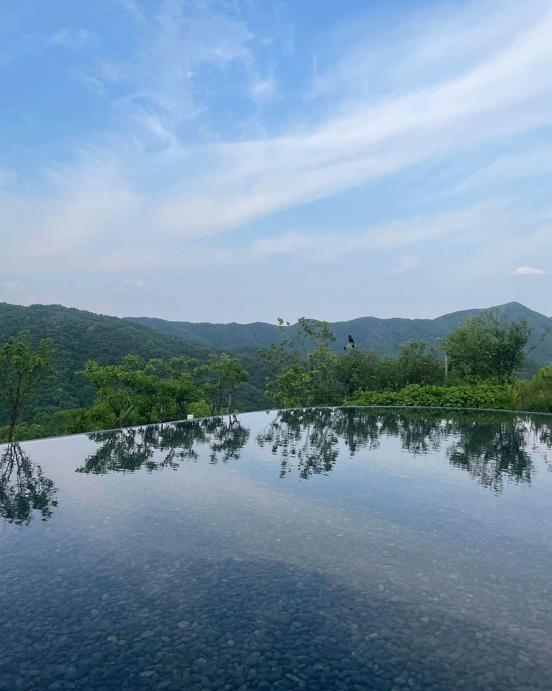 李到華さんのインスタグラム写真 - (李到華Instagram)「좋았던 #뮤지엄산🌳  예쁜 나 ㅎㅎ🎶 한번 가볼만 한 곳   . . #강원도 #강원도여행 #뮤지엄산카페 #강원도갈곳」7月8日 15時04分 - ah____rim